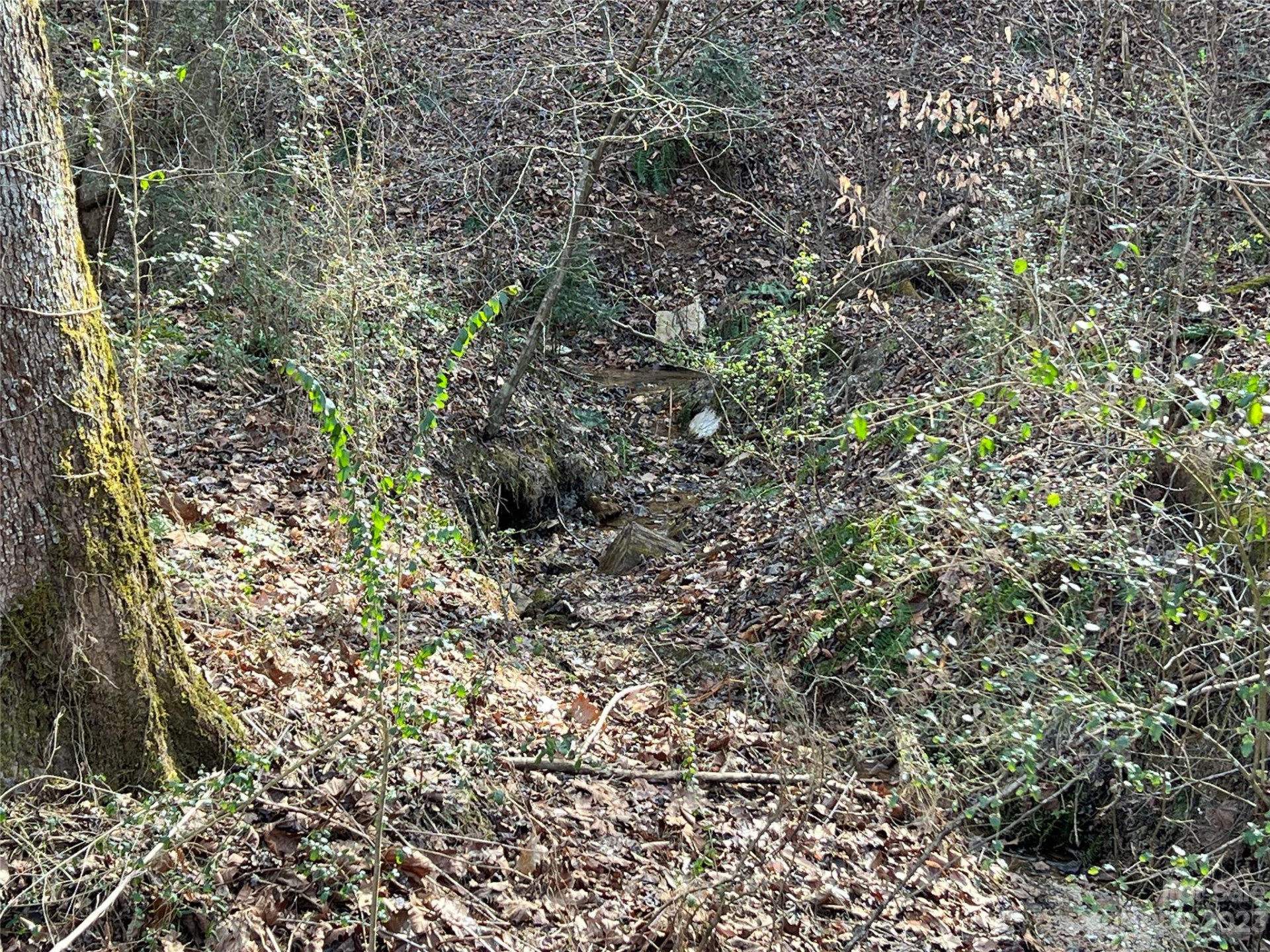 Lot 19 Oakdale Estates Drive - Photo 5