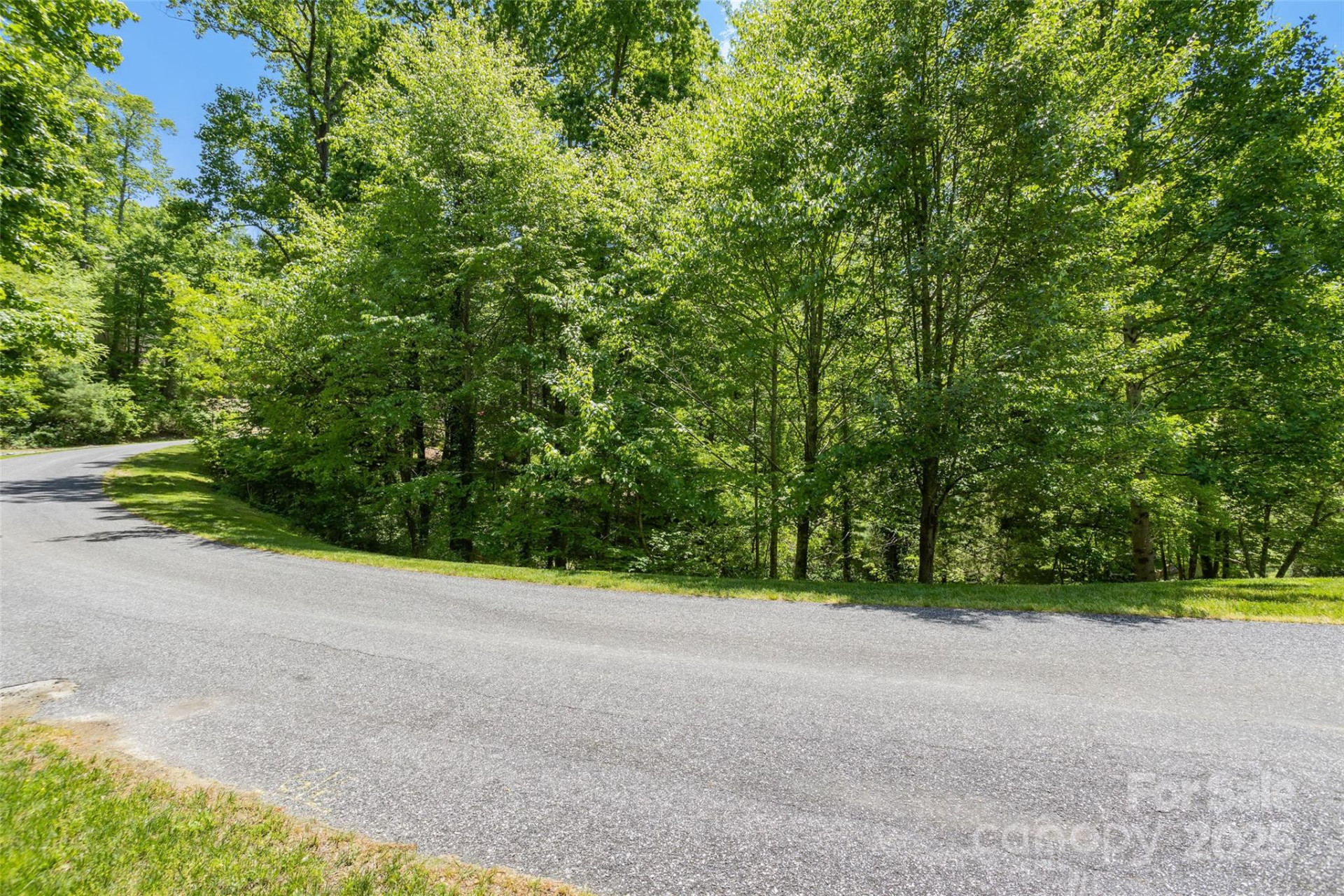 98 Flameleaf Lane - Photo 11