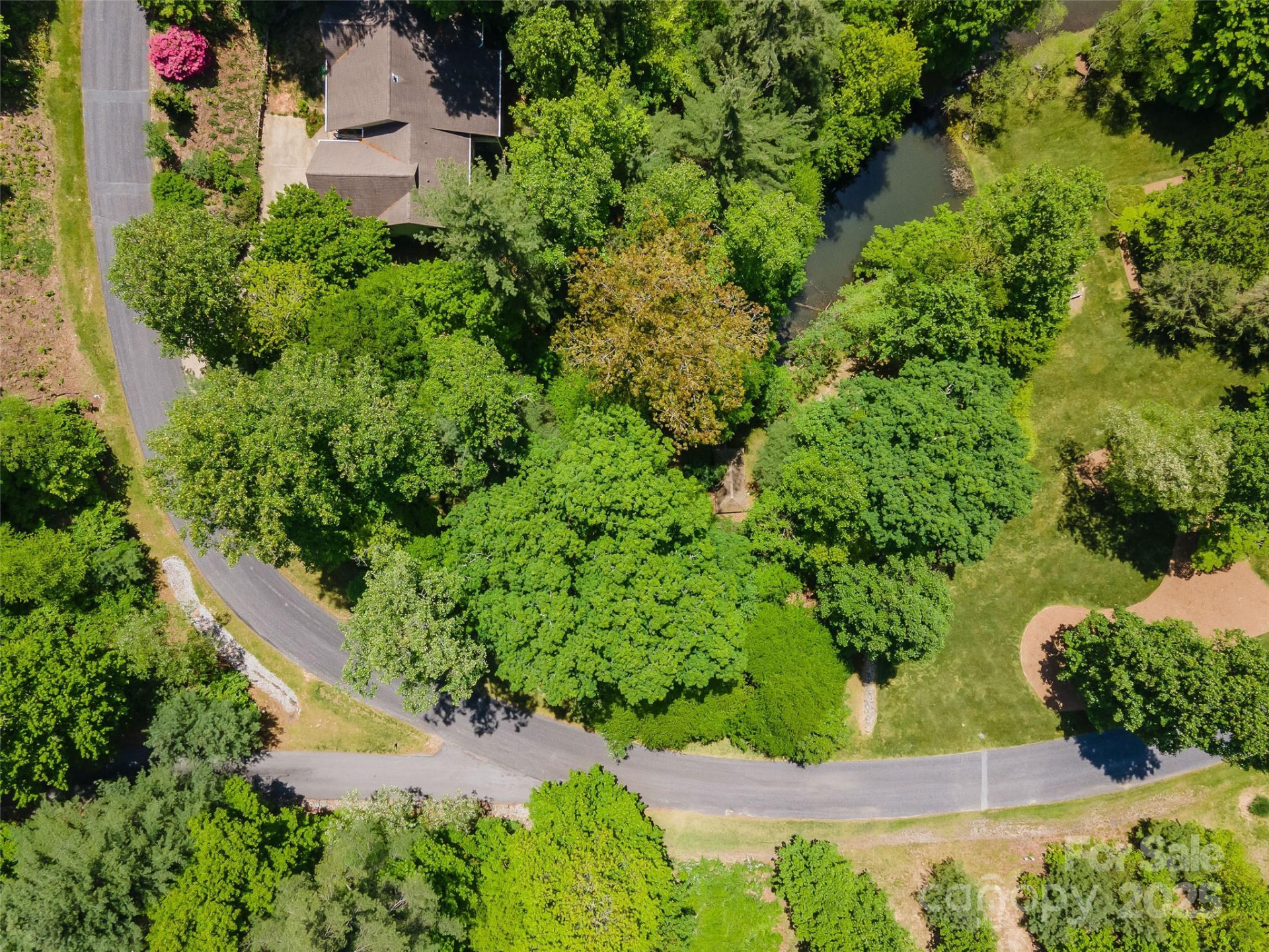 98 Flameleaf Lane - Photo 4