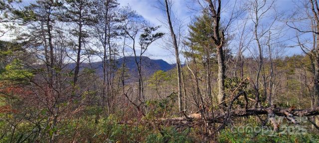 V/L Chickasaw Way, Marion, NC, 28752