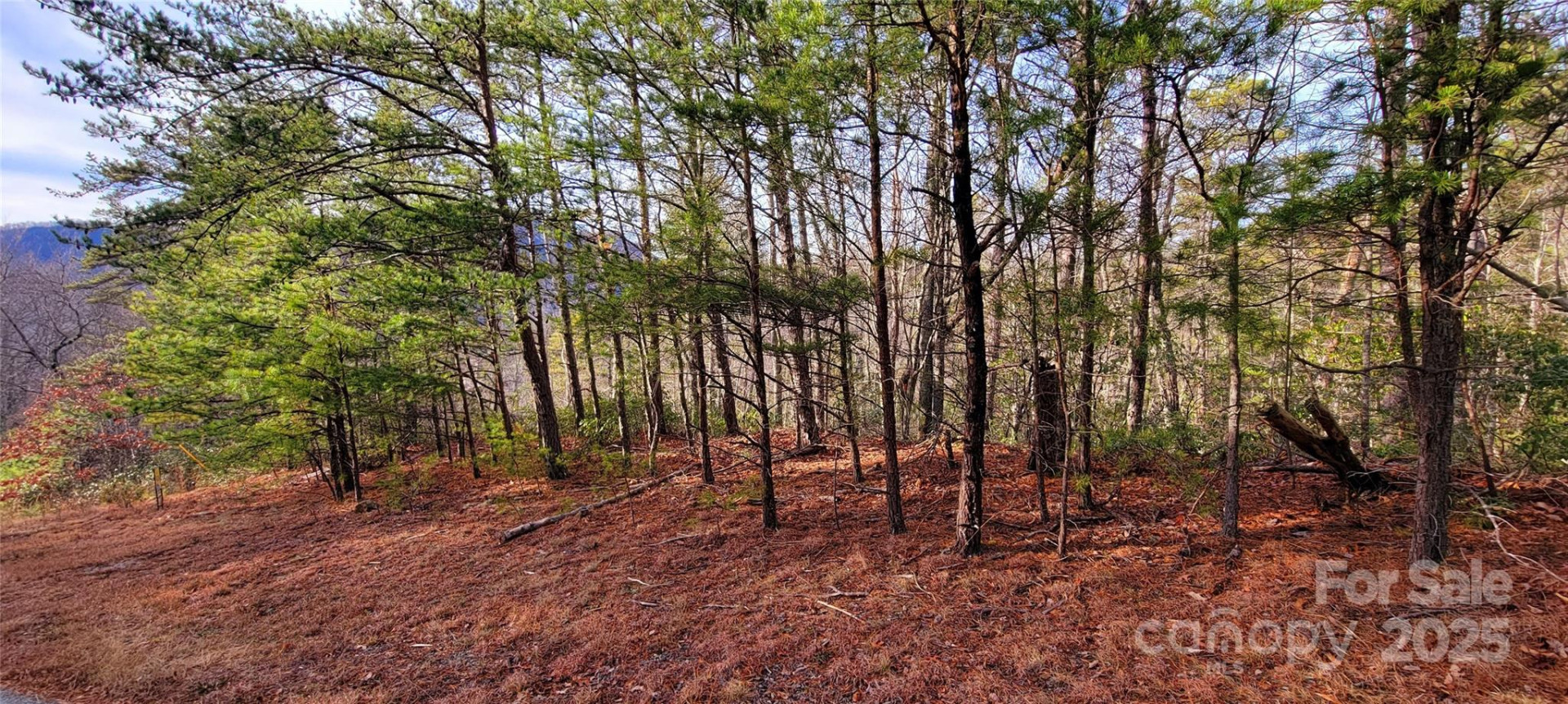 V/L Chickasaw Way #2B - Photo 2