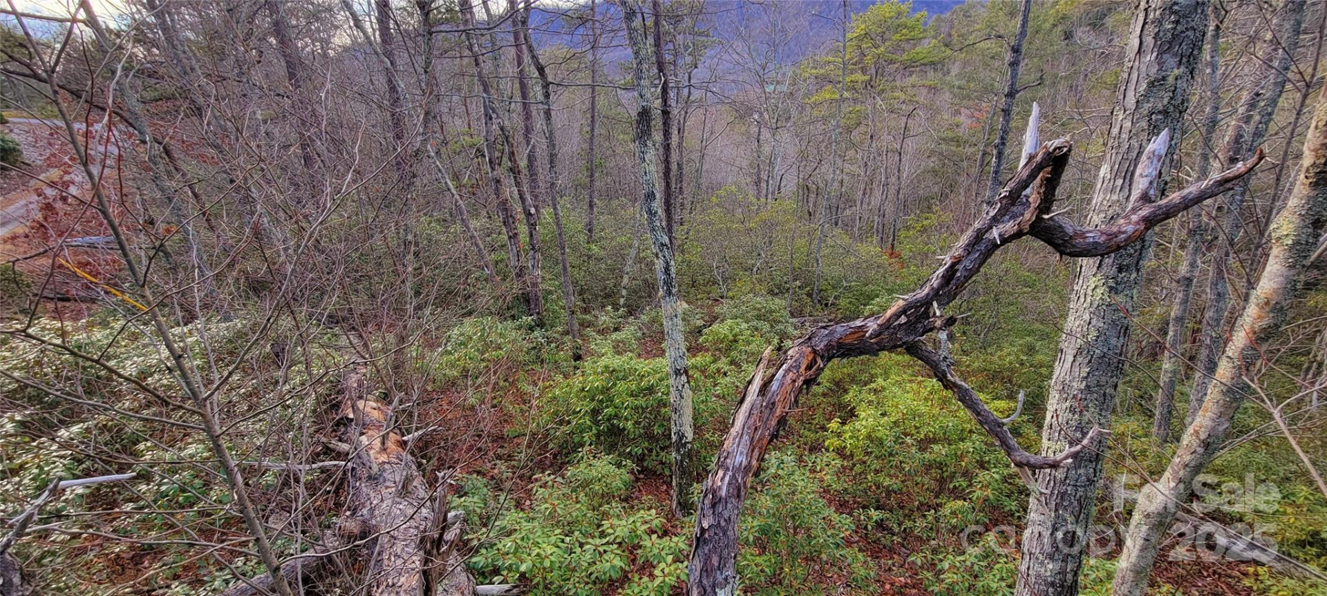 V/L Chickasaw Way #2B - Photo 11