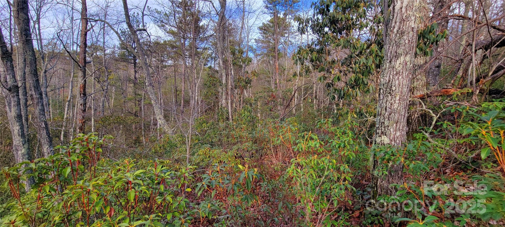 V/L Chickasaw Way #2B - Photo 12