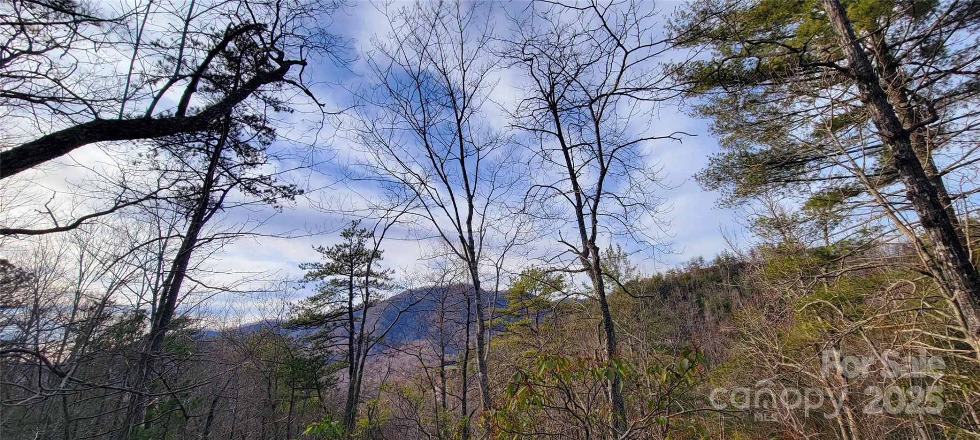 V/L Chickasaw Way #2B - Photo 13