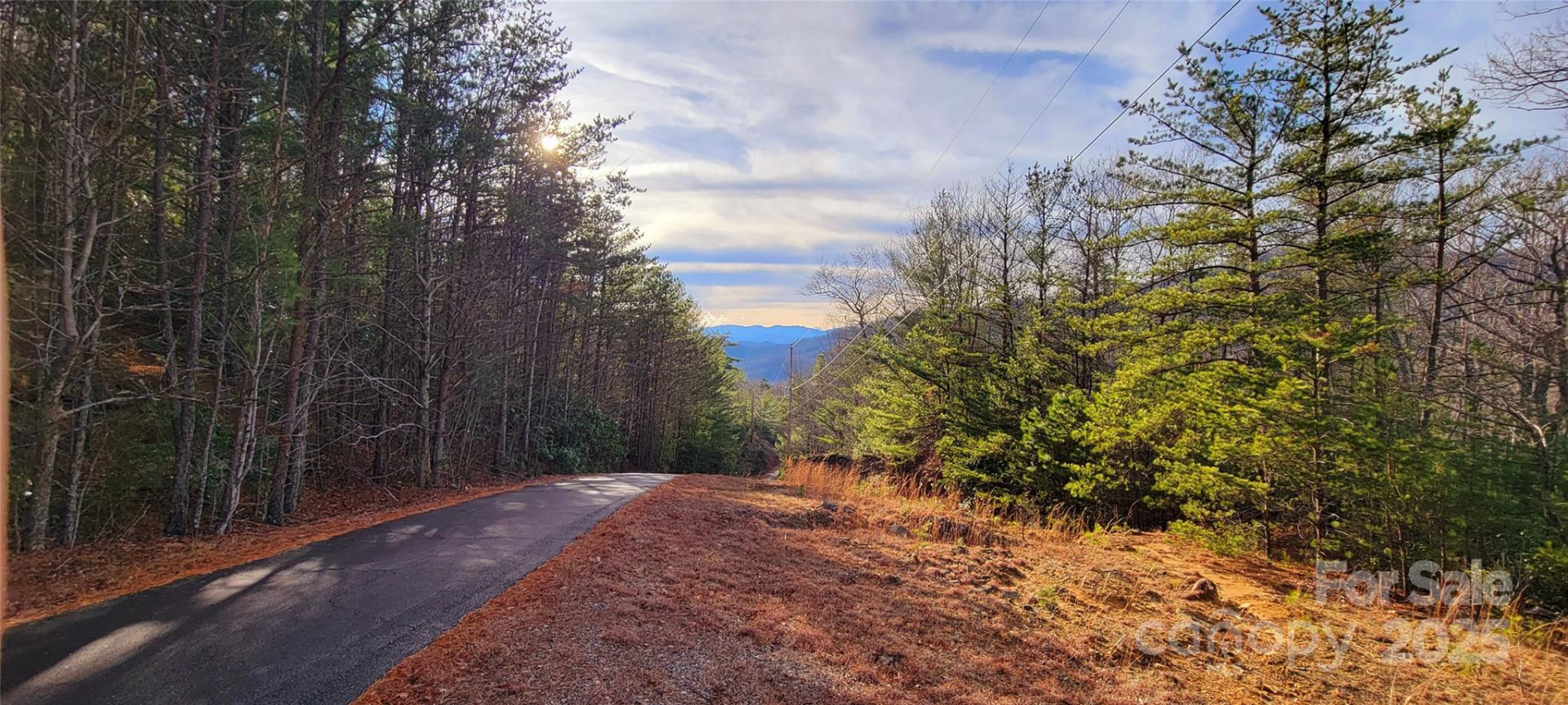 V/L Chickasaw Way #2B - Photo 15