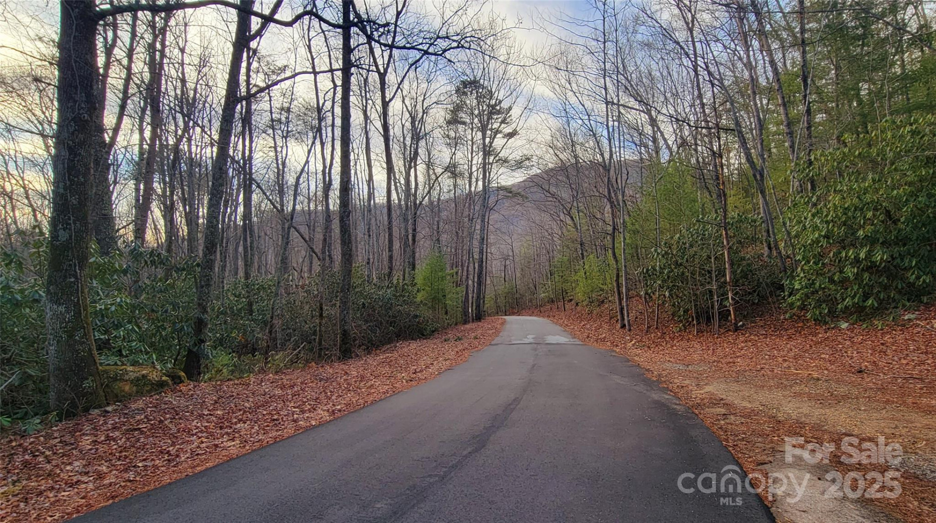 V/L Chickasaw Way #2B - Photo 16