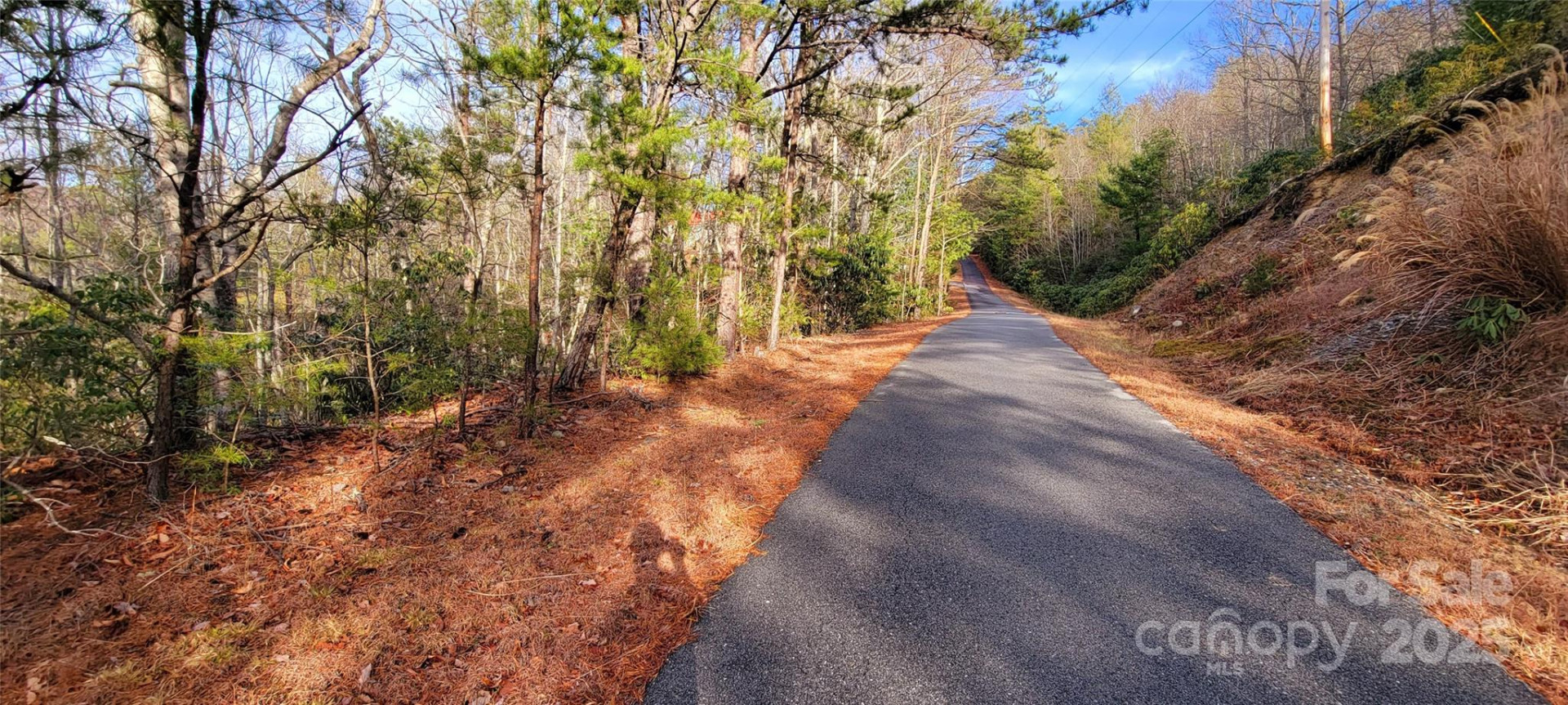 V/L Chickasaw Way #2B - Photo 8