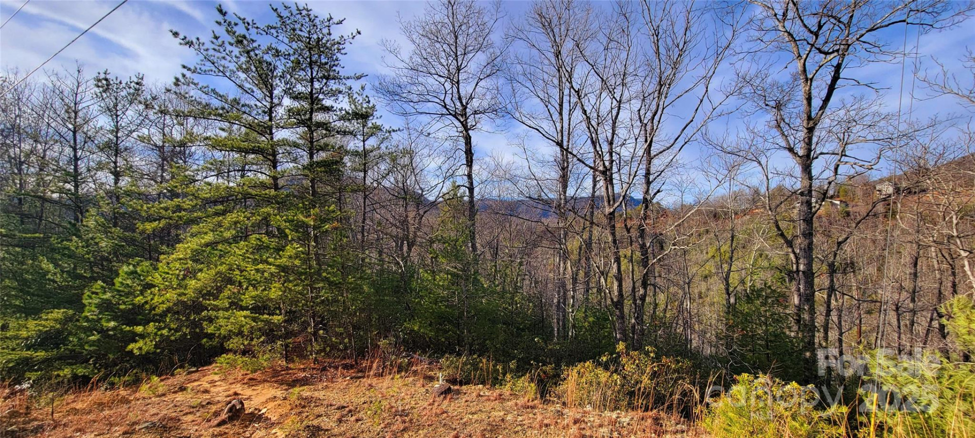 V/L Chickasaw Way #2B - Photo 9