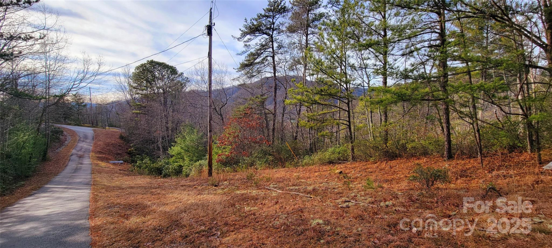 V/L Chickasaw Way #2B - Photo 10