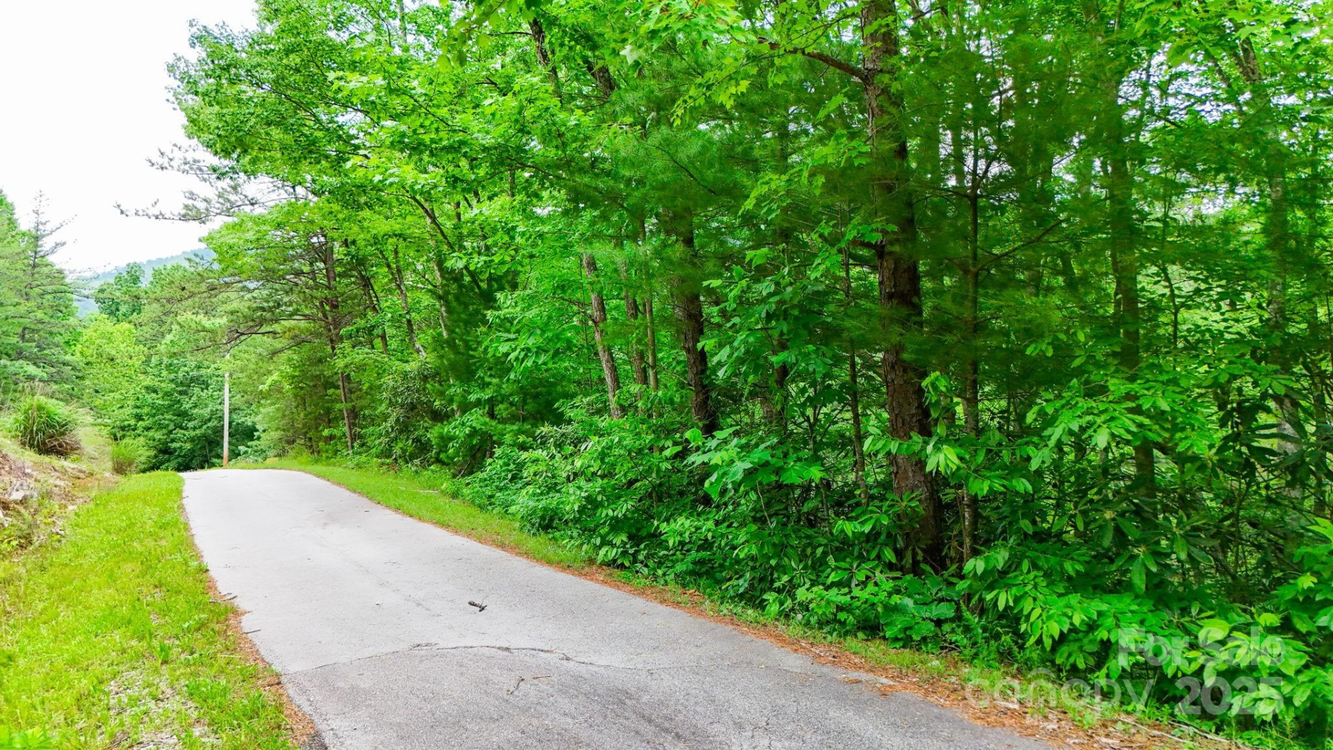 55 Chickasaw Way #3B - Photo 3