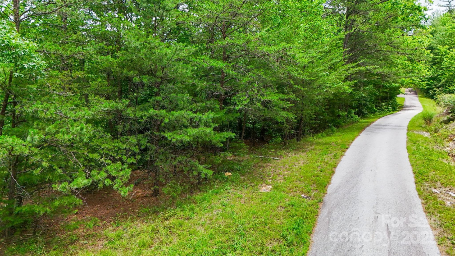 55 Chickasaw Way #3B - Photo 4