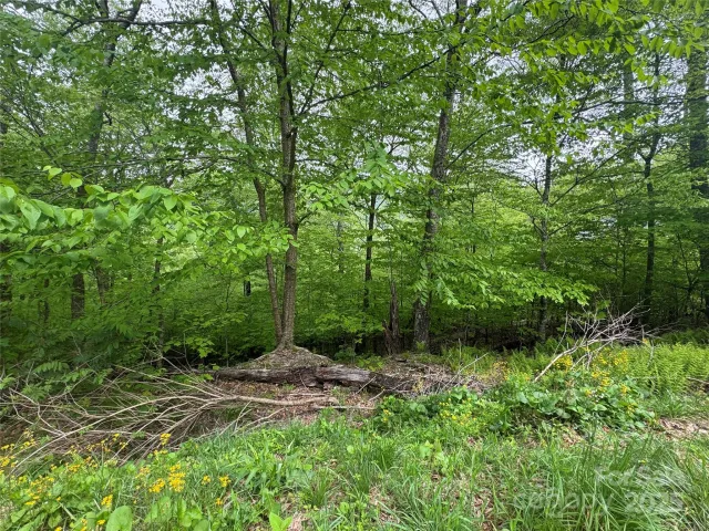 22 Zebulon Lane