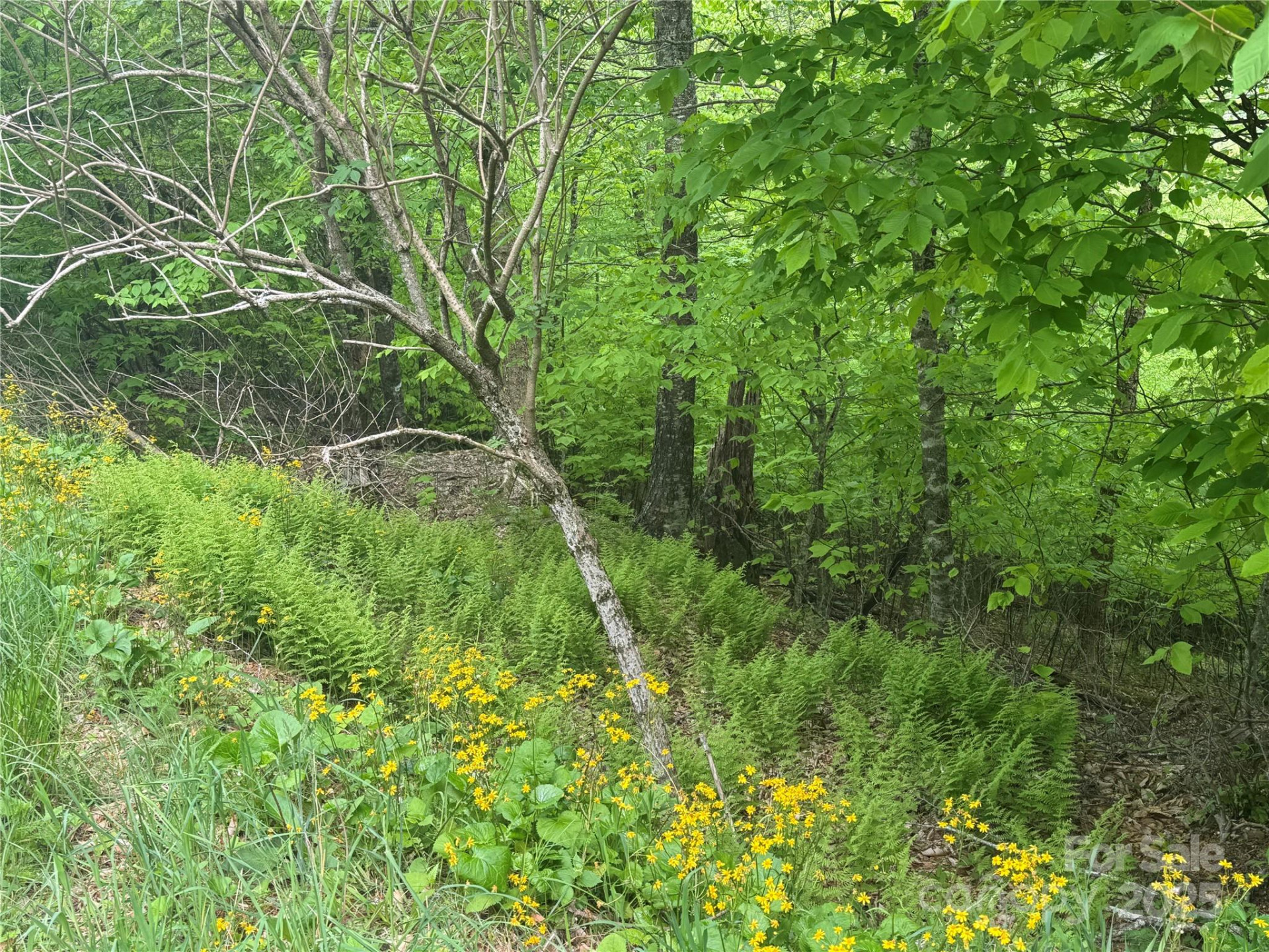 22 Zebulon Lane - Photo 2