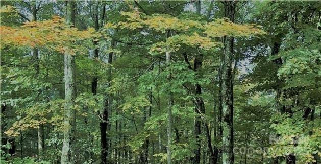 22 Zebulon Lane - Photo 11