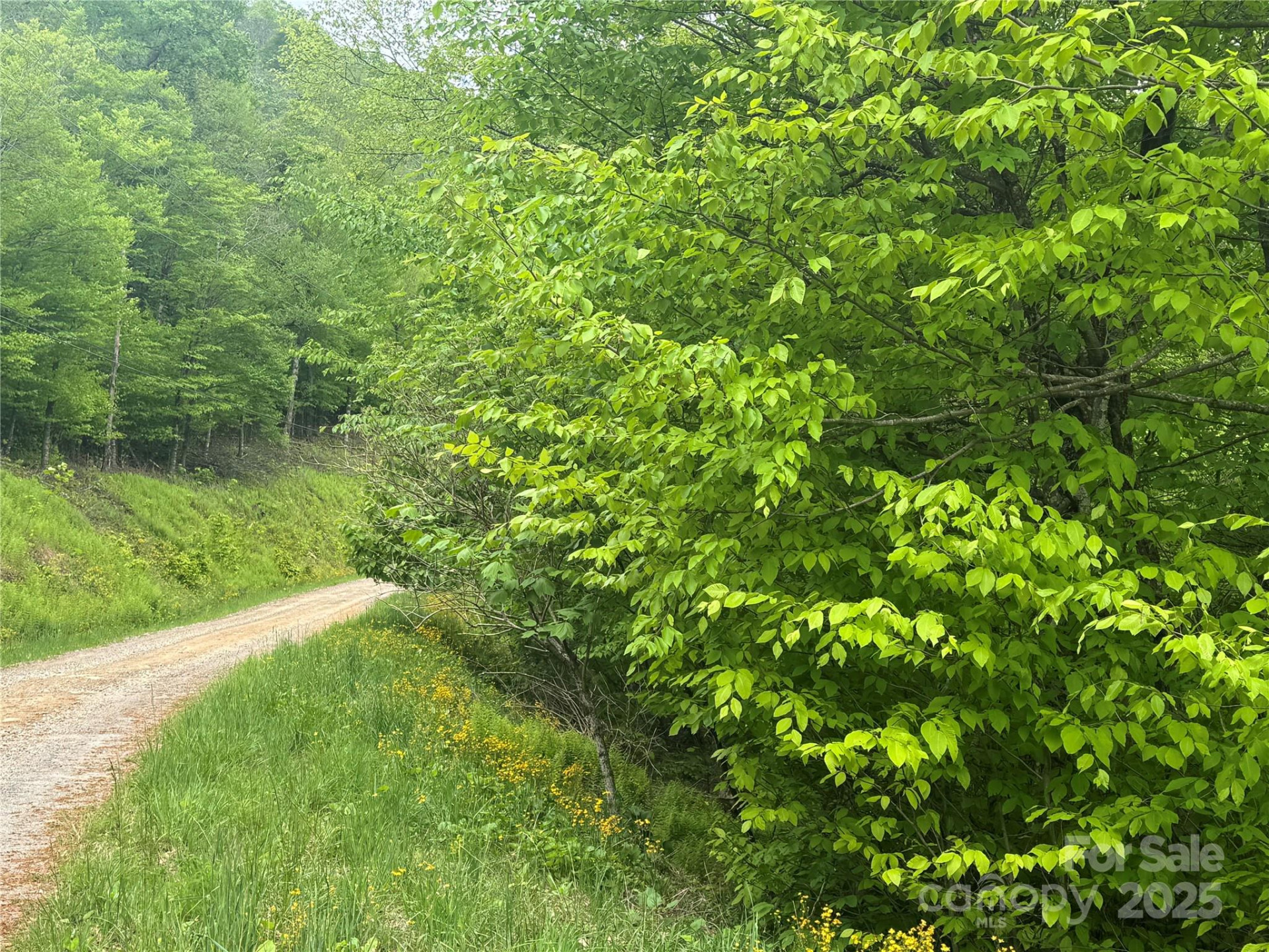 22 Zebulon Lane - Photo 3