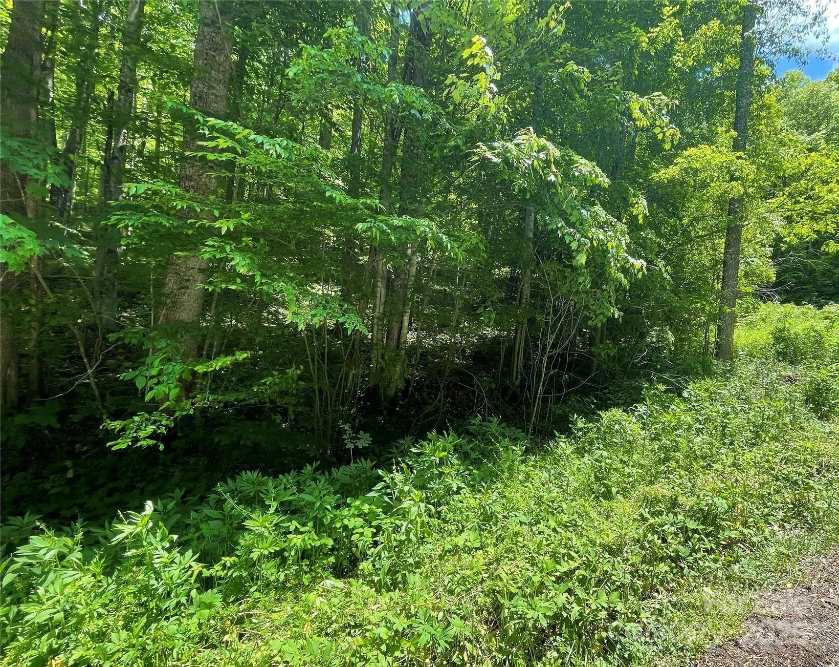 22 Zebulon Lane - Photo 4