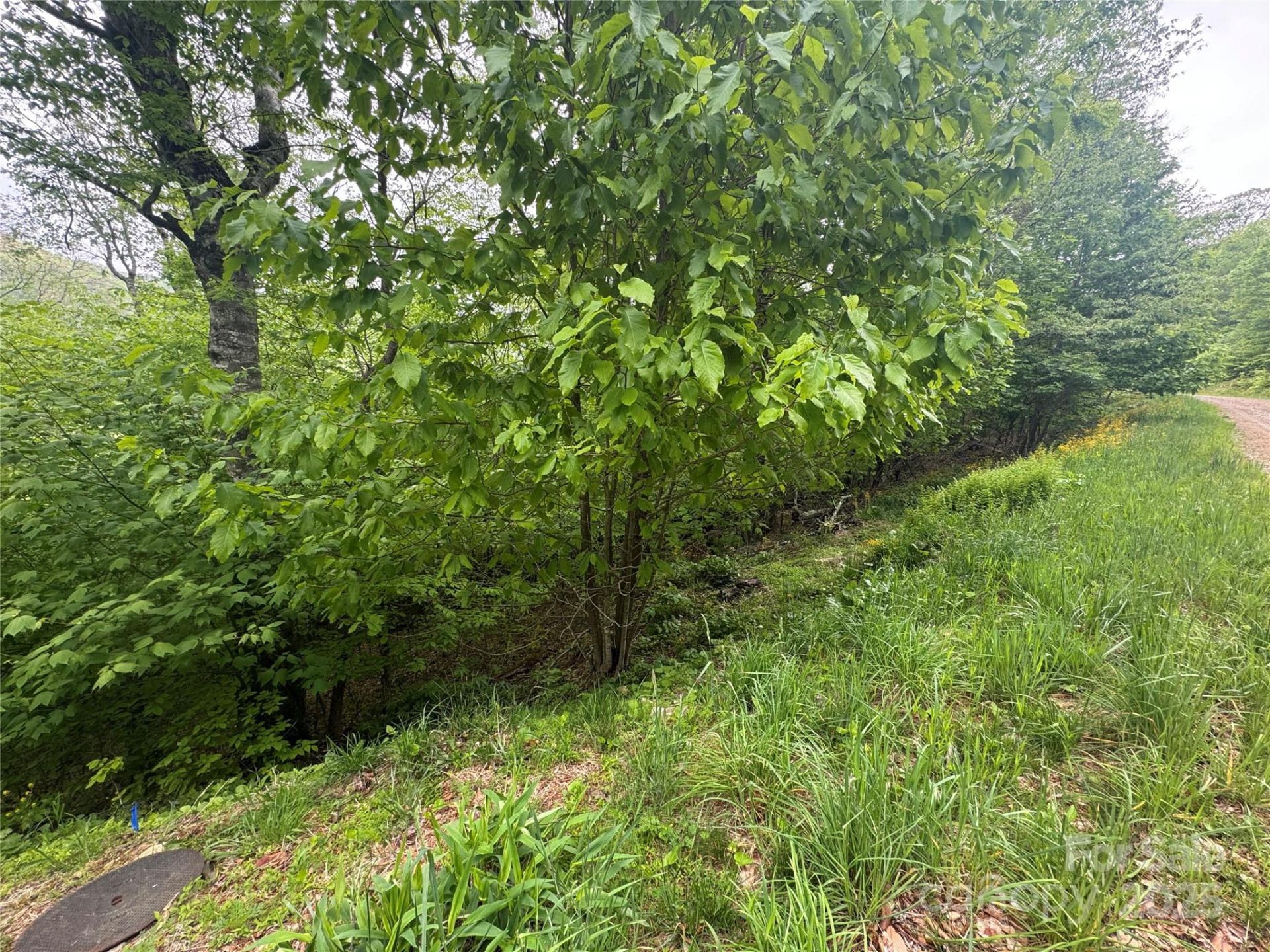 22 Zebulon Lane - Photo 5