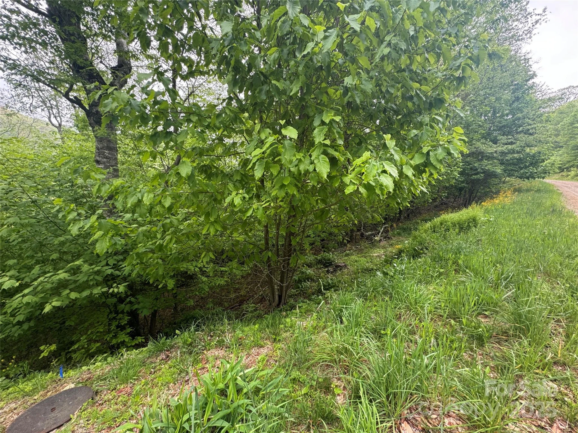 22 Zebulon Lane - Photo 5