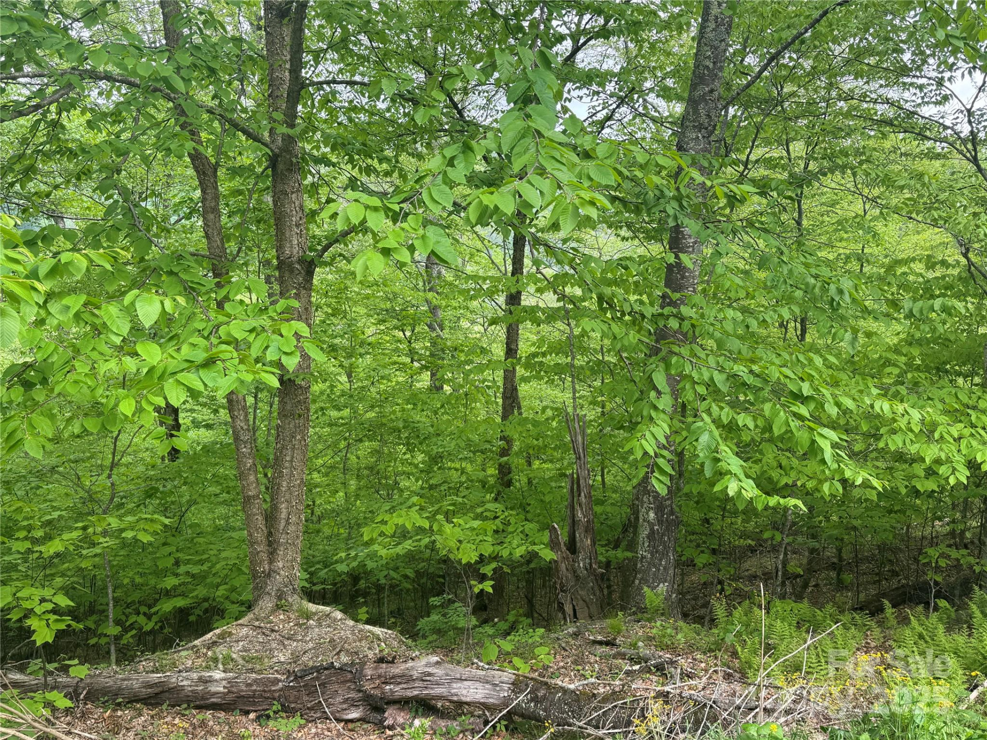 22 Zebulon Lane - Photo 6