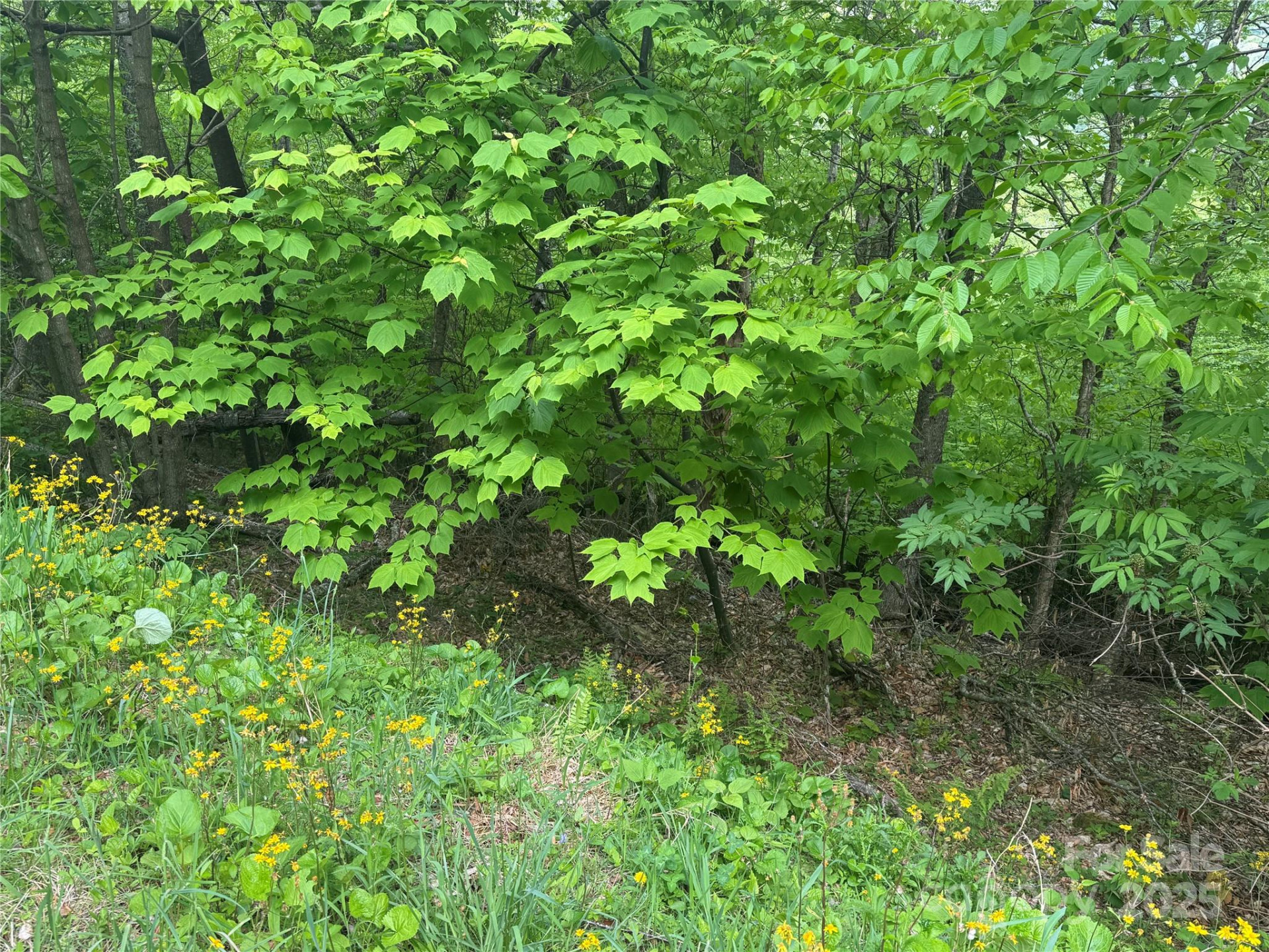 22 Zebulon Lane - Photo 7