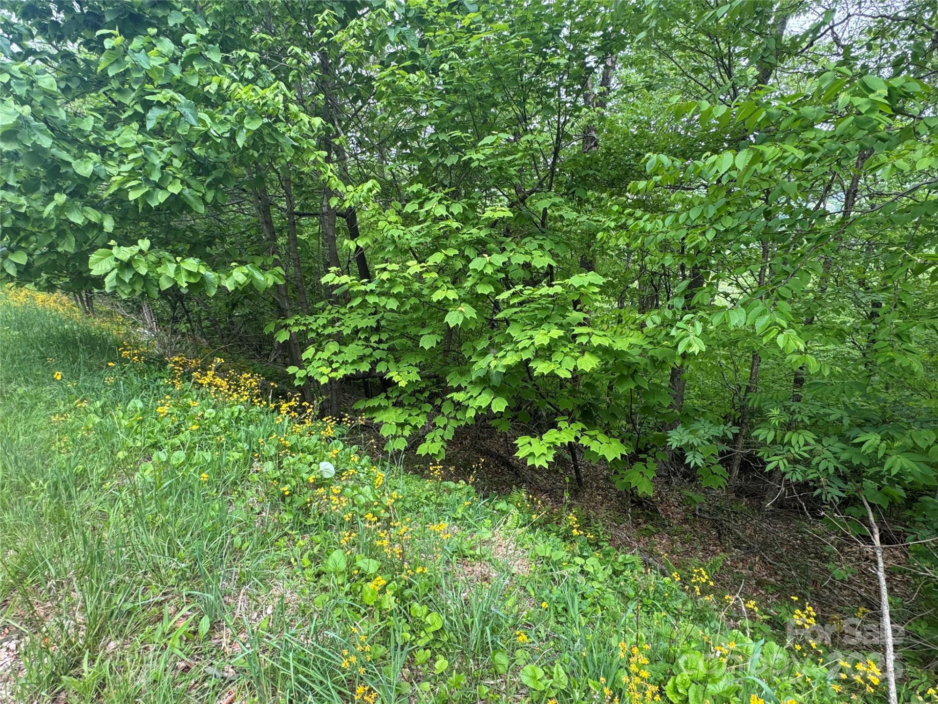 22 Zebulon Lane - Photo 8