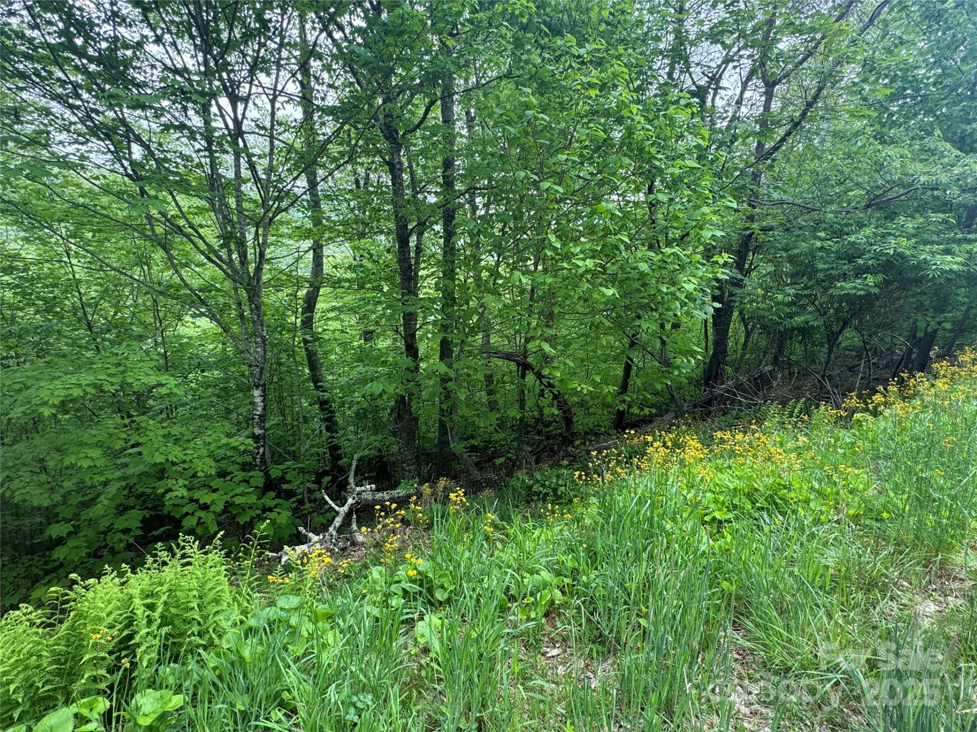 22 Zebulon Lane - Photo 9