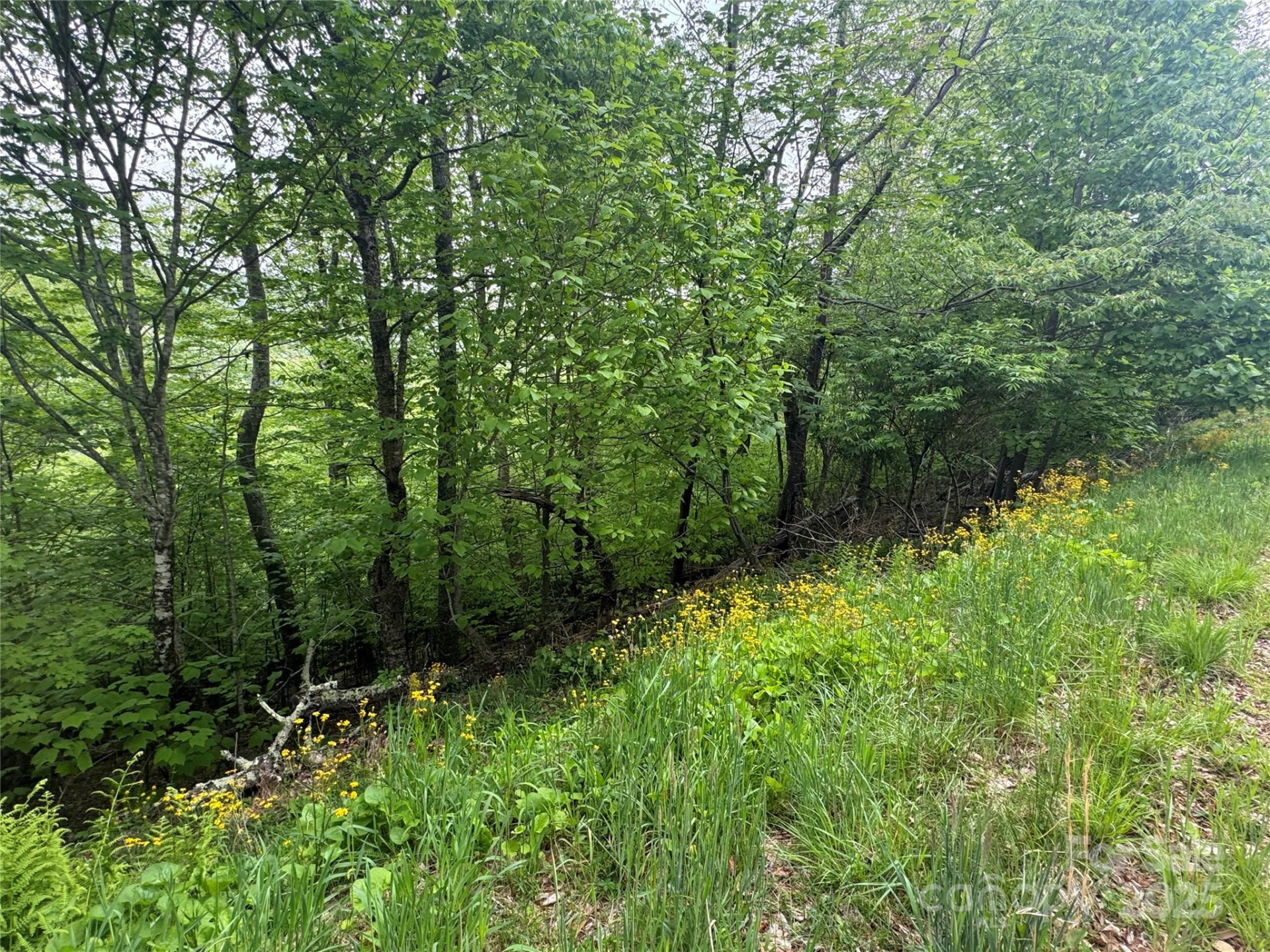 22 Zebulon Lane - Photo 10