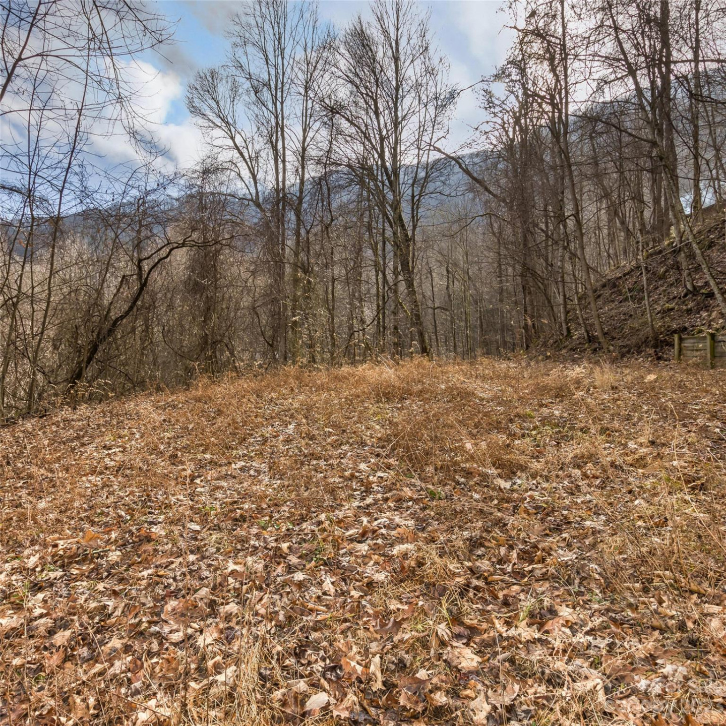 3 Michael Drive #3 - Photo 11