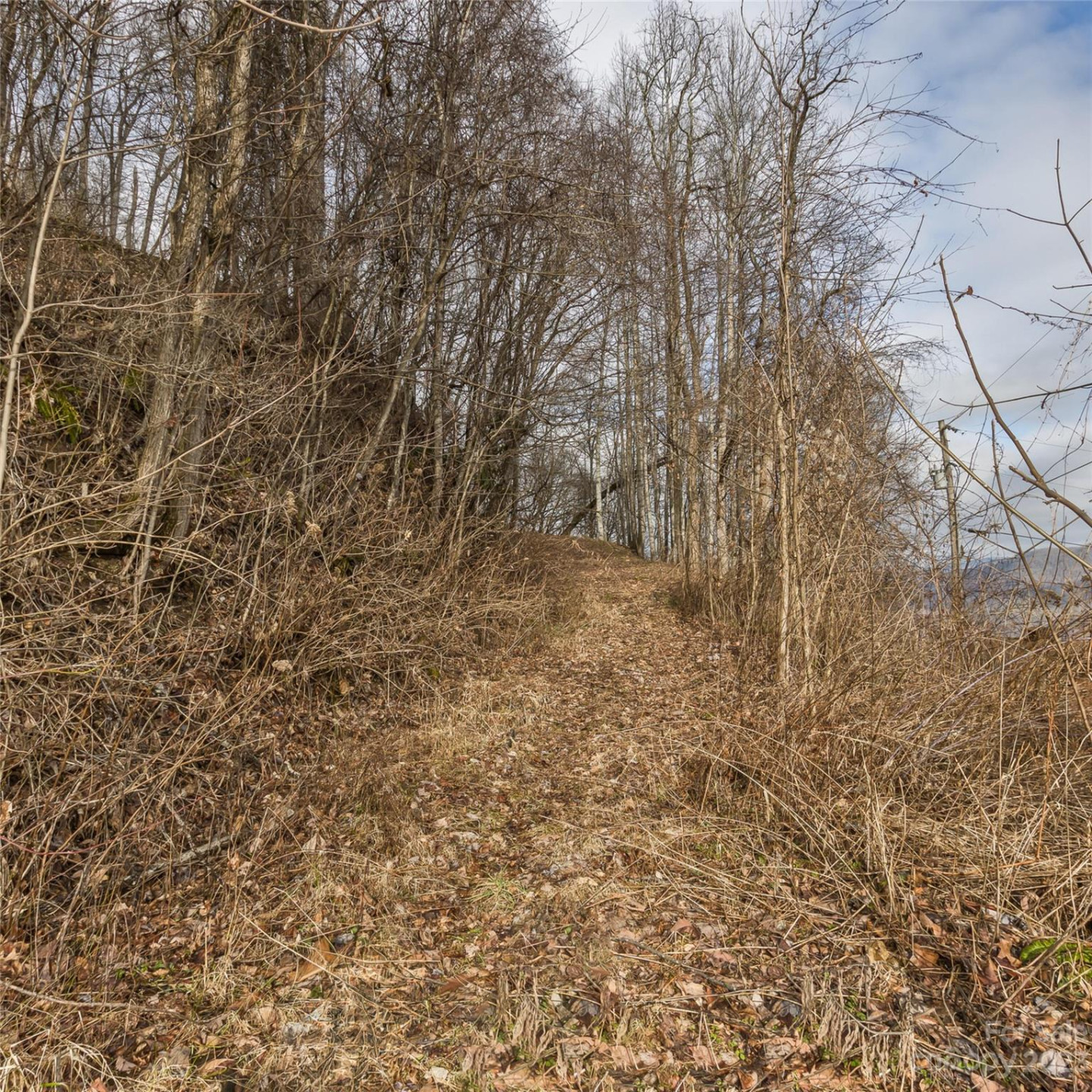 3 Michael Drive #3 - Photo 12