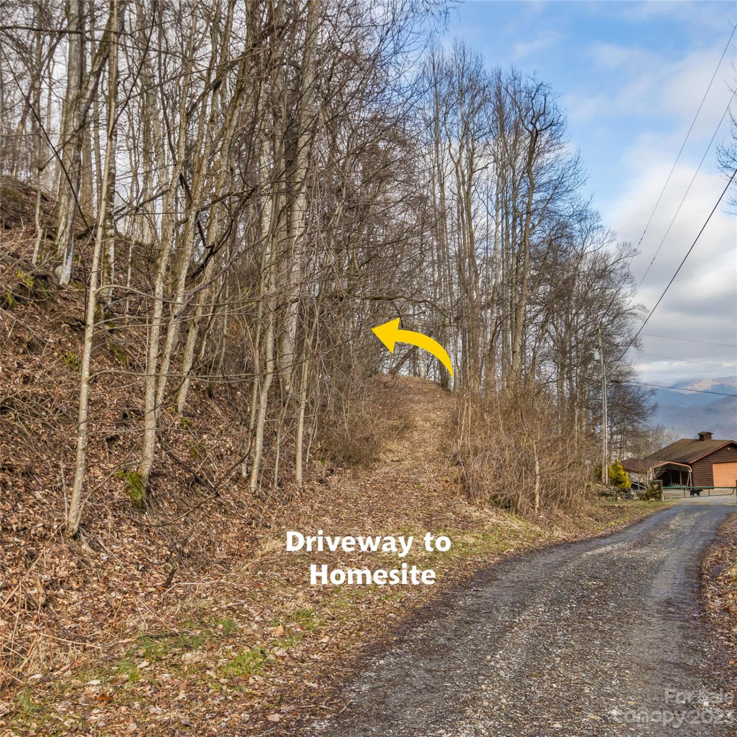 3 Michael Drive #3 - Photo 3