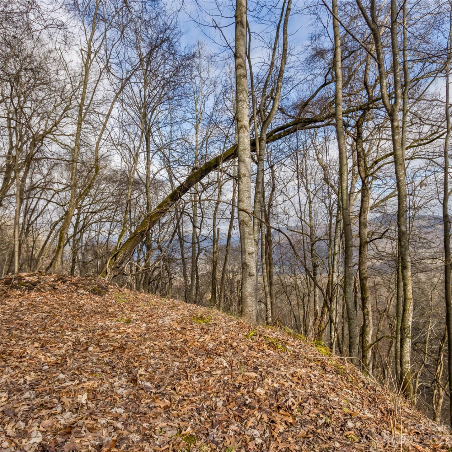 3 Michael Drive #3 - Photo 4