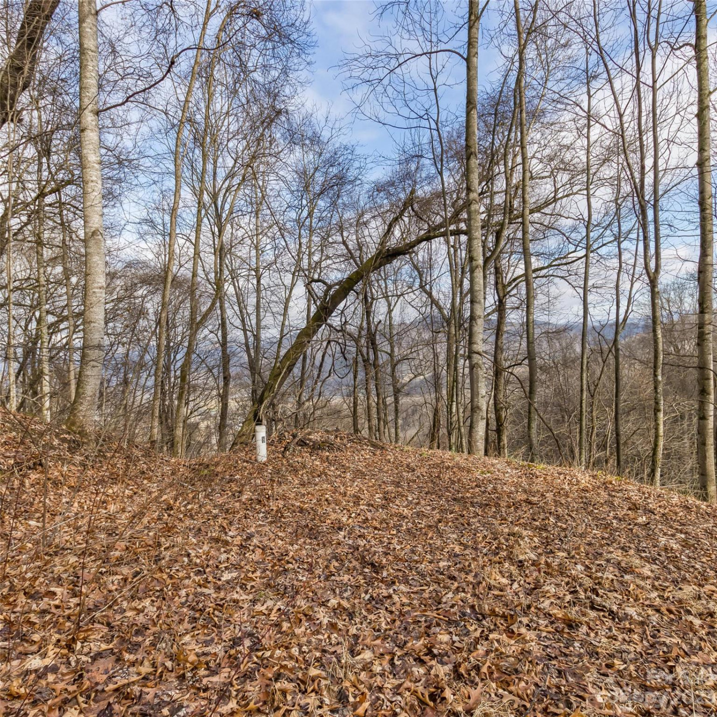 3 Michael Drive #3 - Photo 5