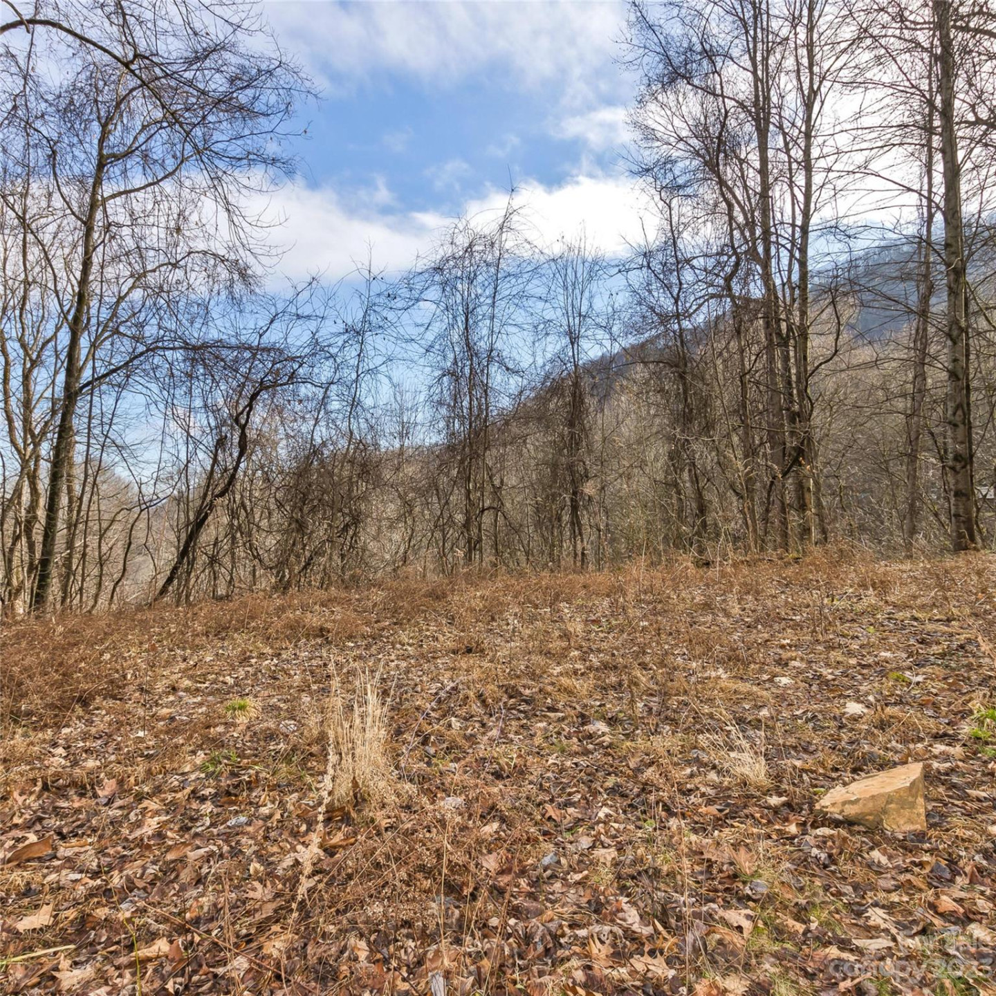 3 Michael Drive #3 - Photo 8