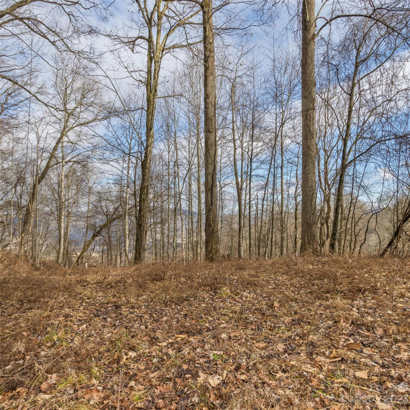 3 Michael Drive #3 - Photo 9