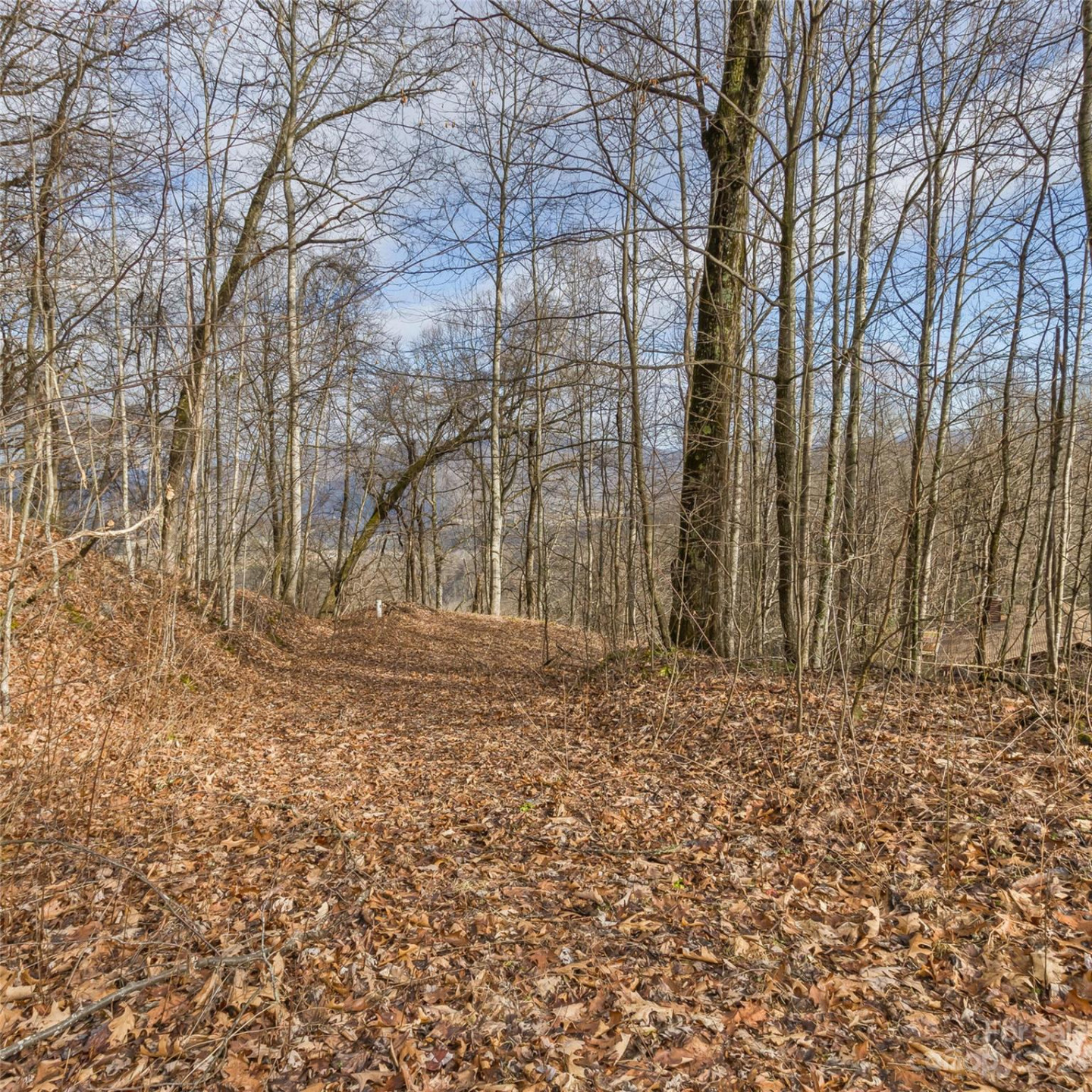 3 Michael Drive #3 - Photo 10