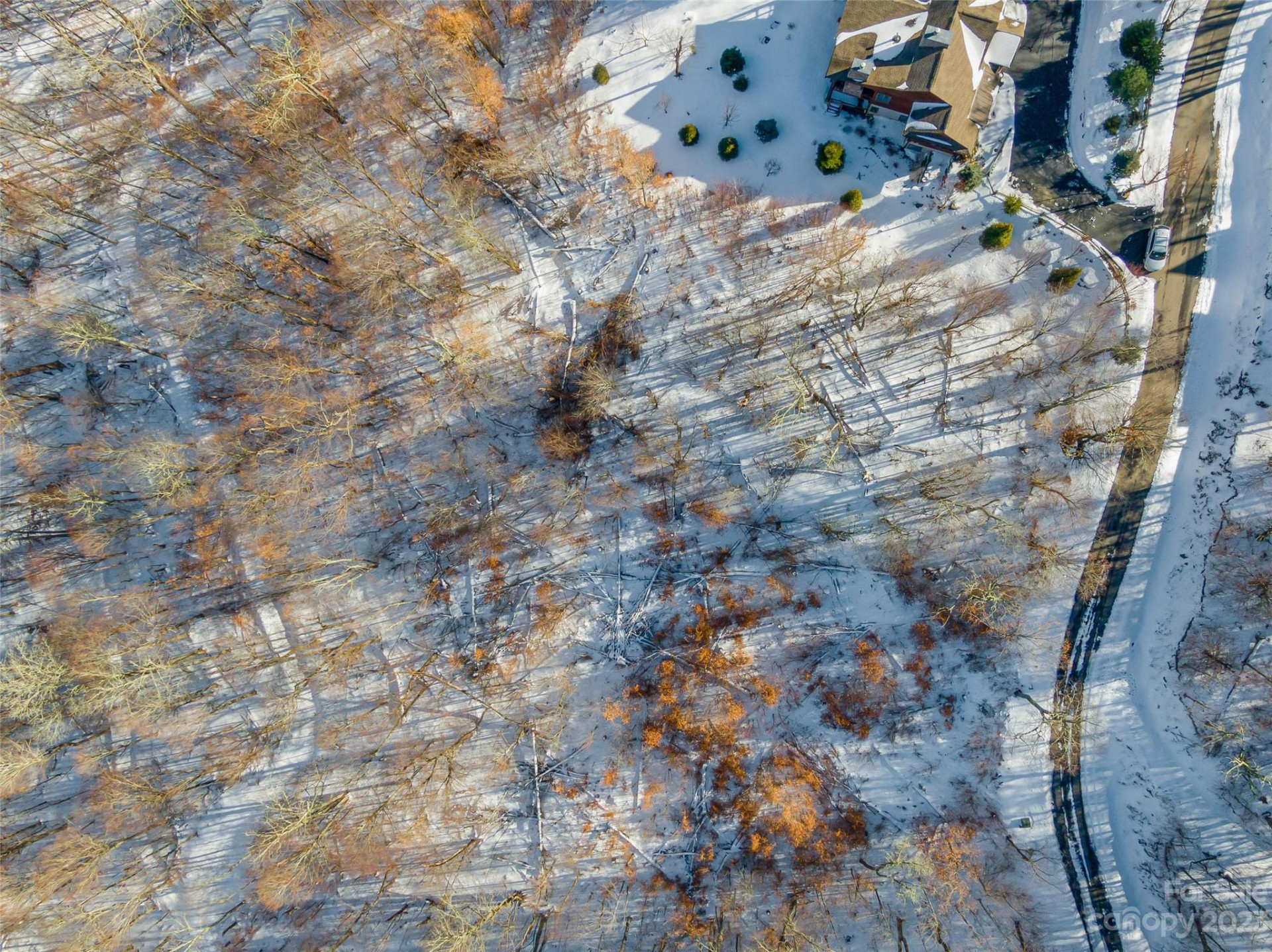 Lot 38 Black Bear Run - Photo 4