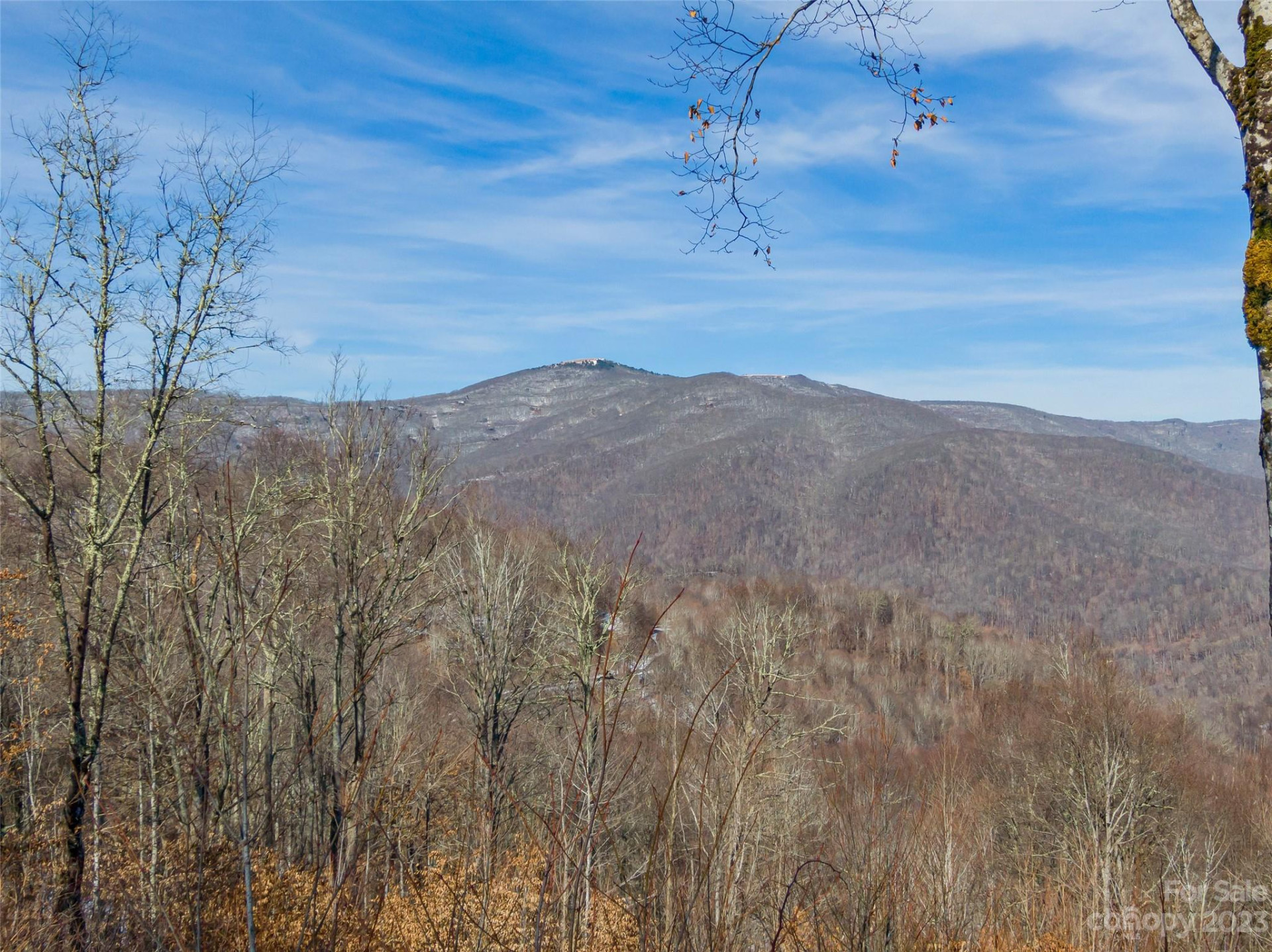 Lot 38 Black Bear Run - Photo 5