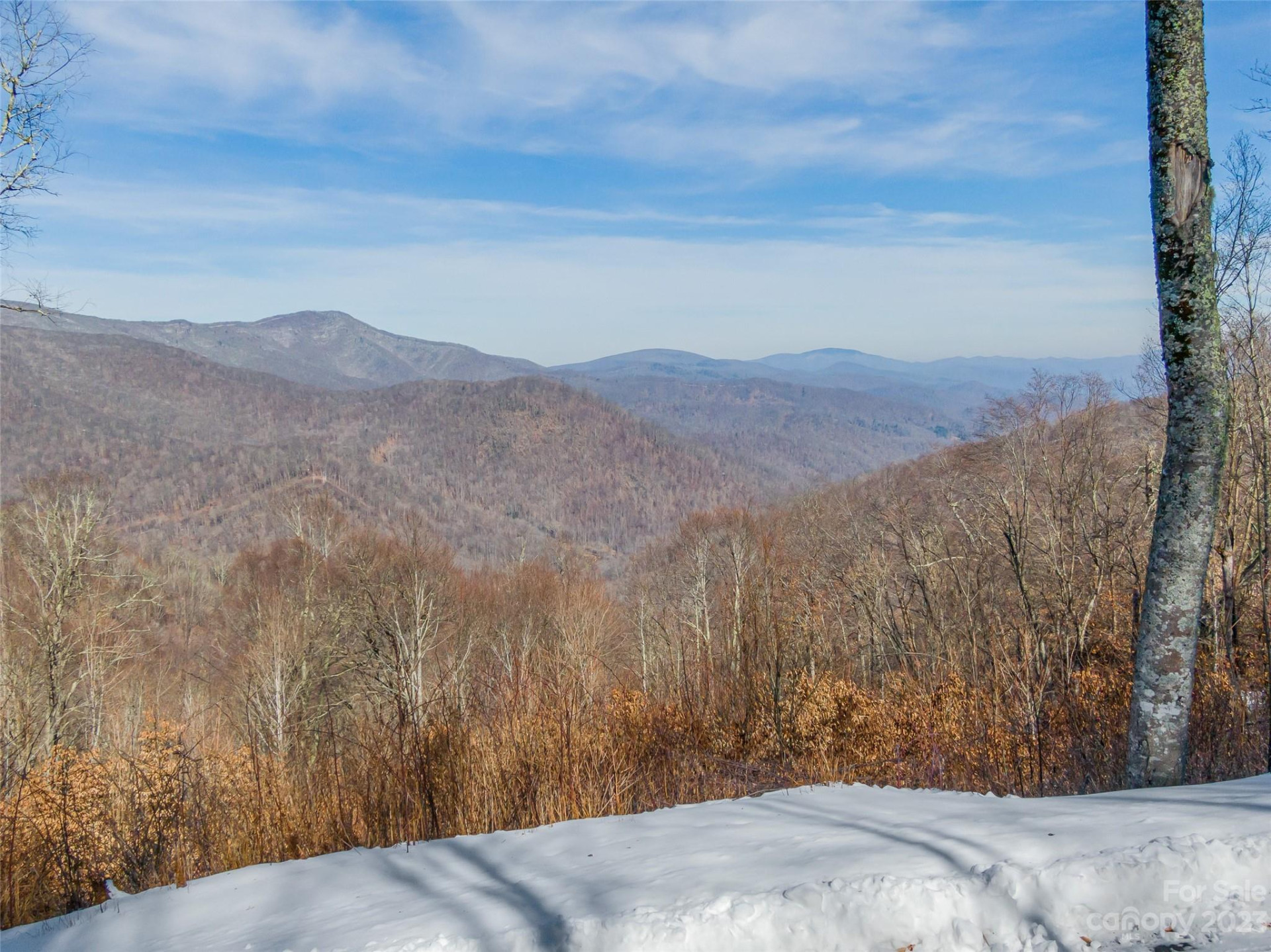 Lot 38 Black Bear Run - Photo 6