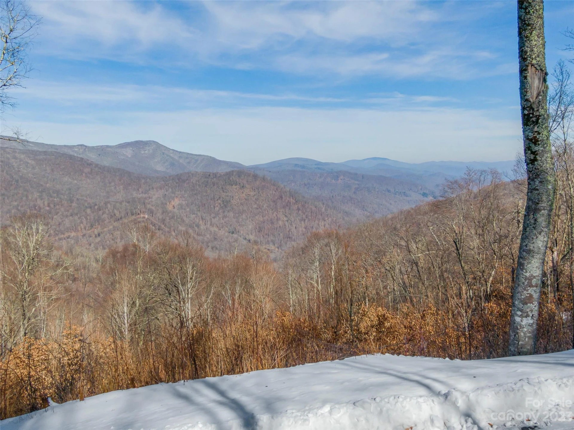 Lot 38 Black Bear Run - Photo 6