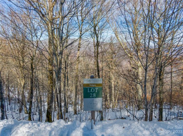 Lot 28 Black Bear Run