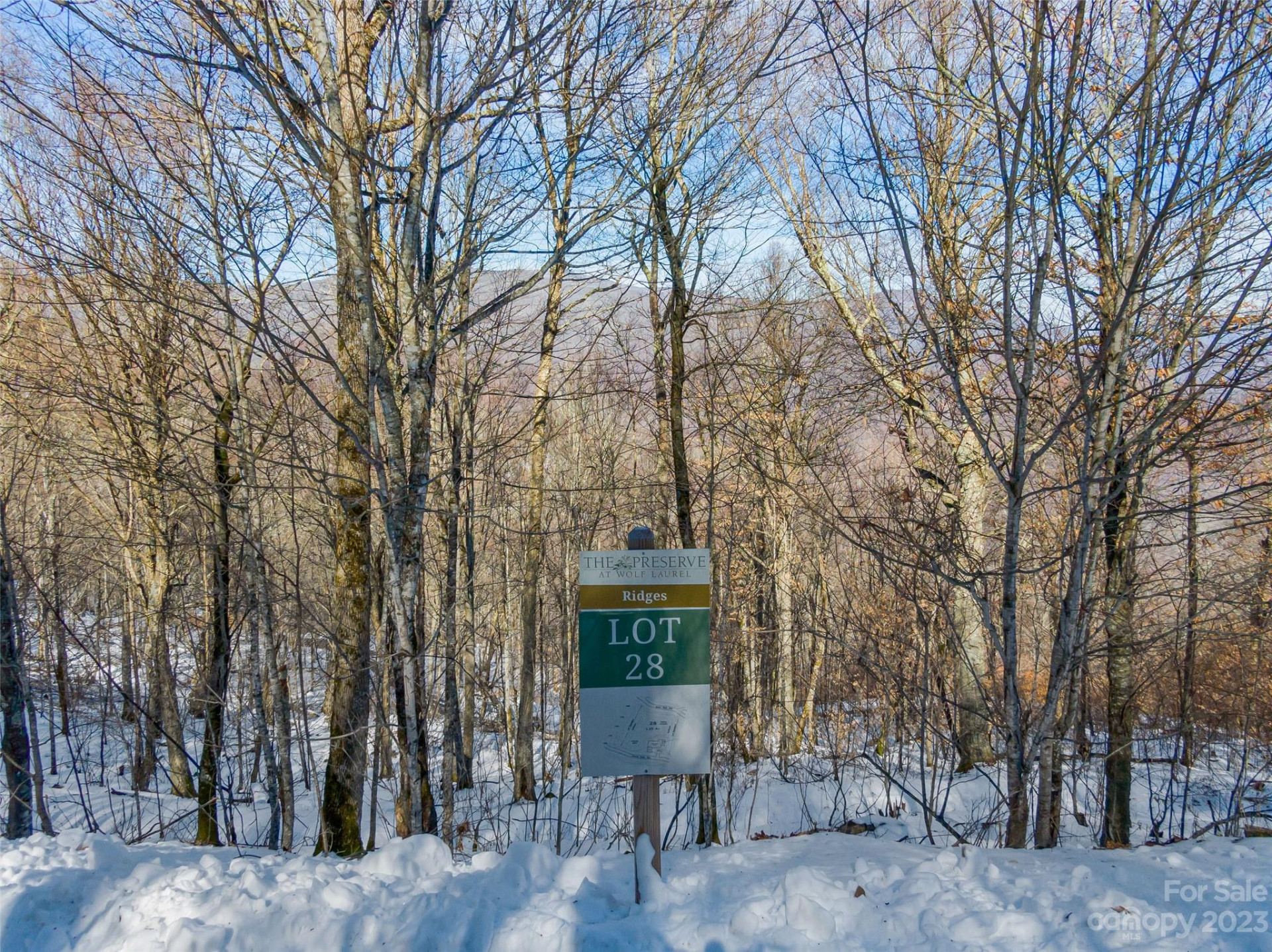 Lot 28 Black Bear Run