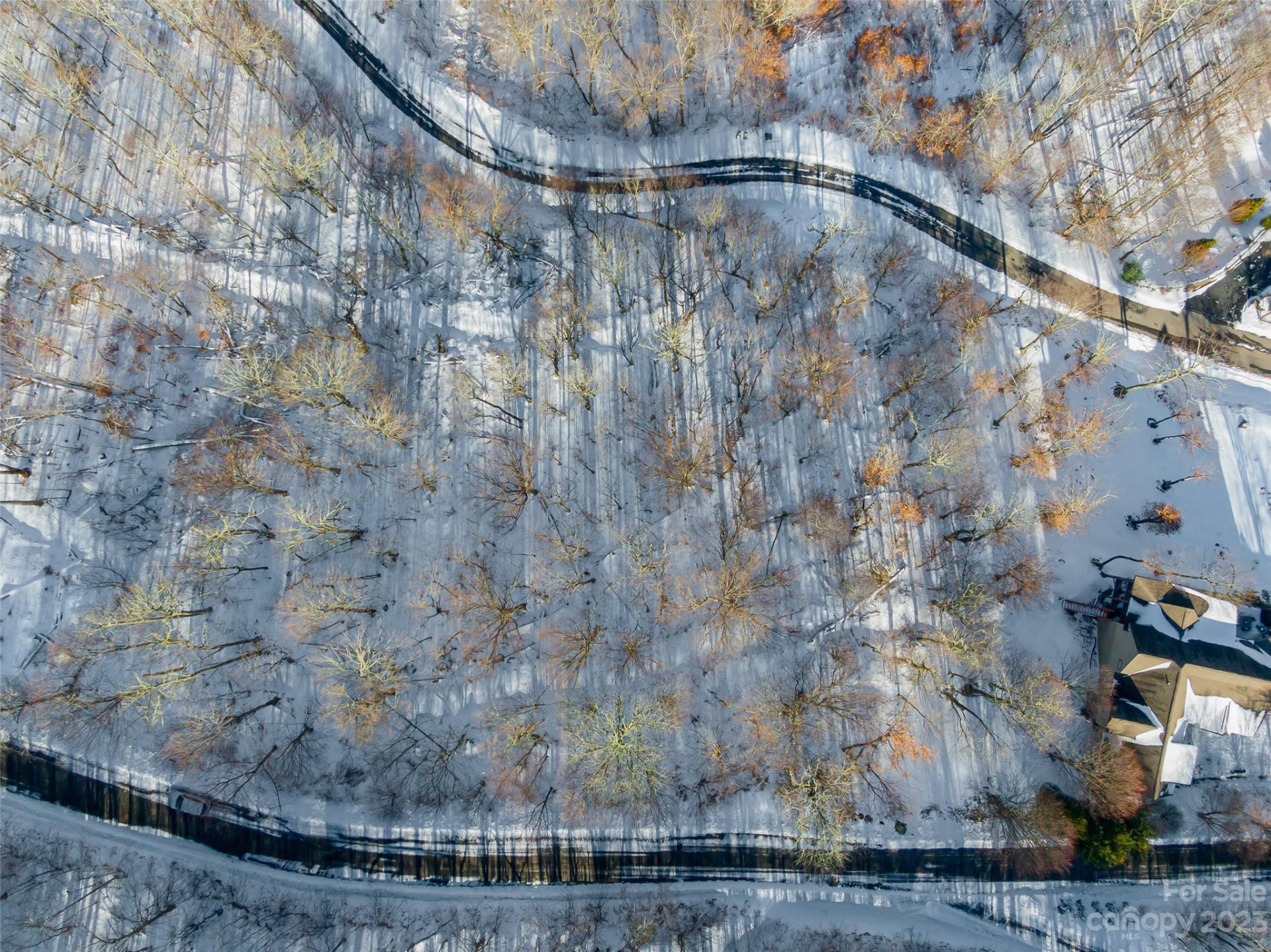 Lot 28 Black Bear Run - Photo 2