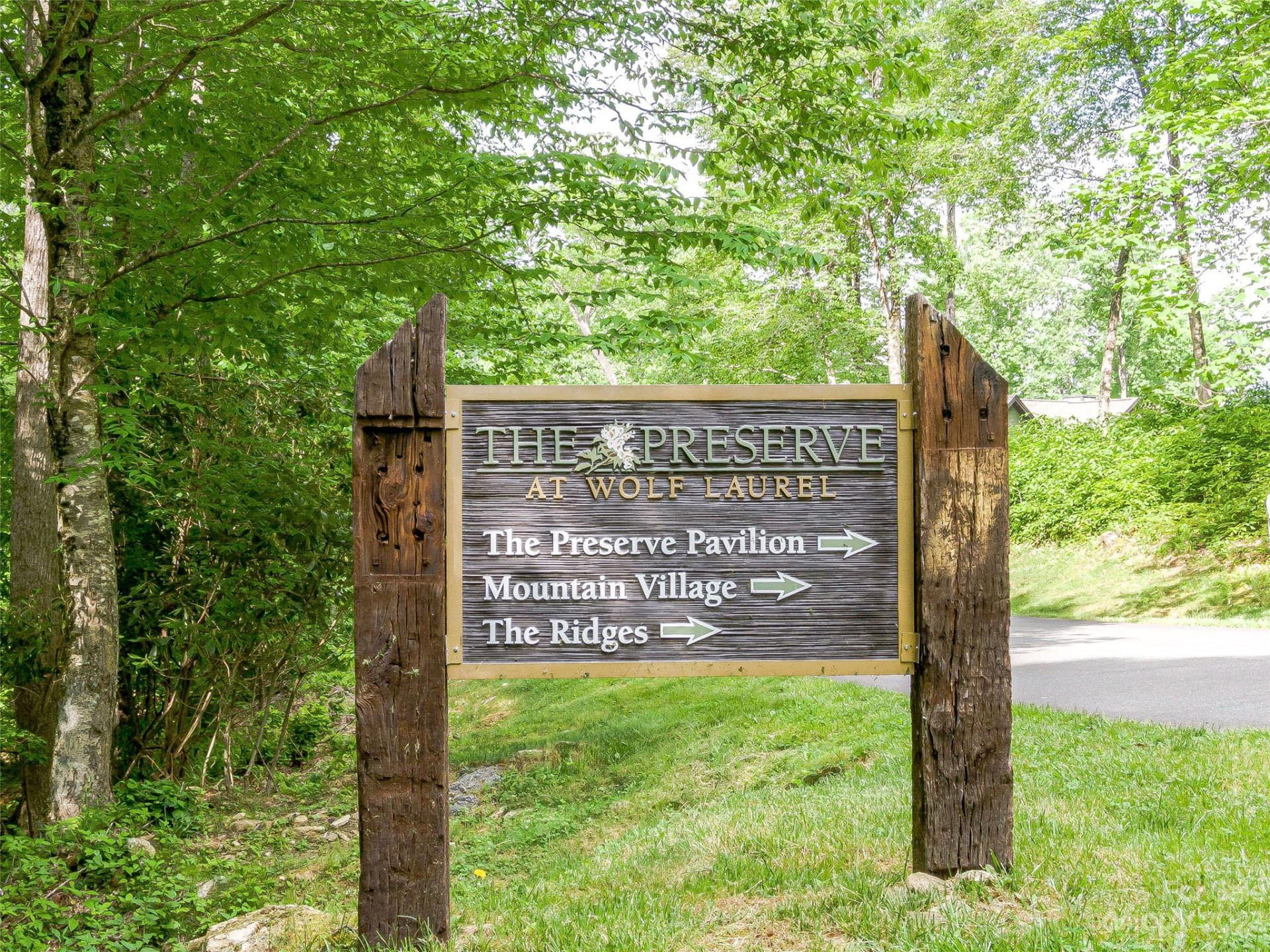 Lot 28 Black Bear Run - Photo 11