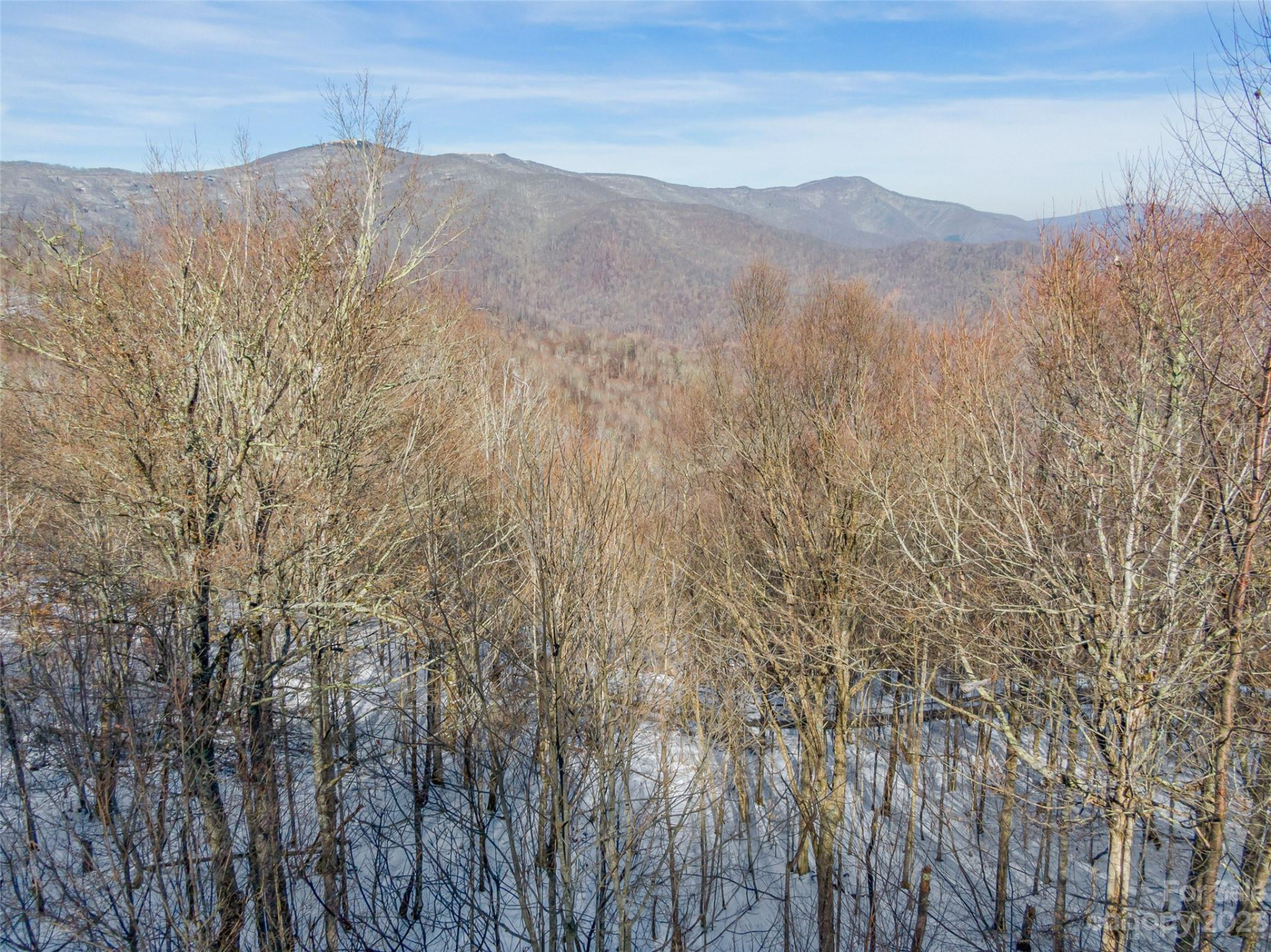 Lot 28 Black Bear Run - Photo 7