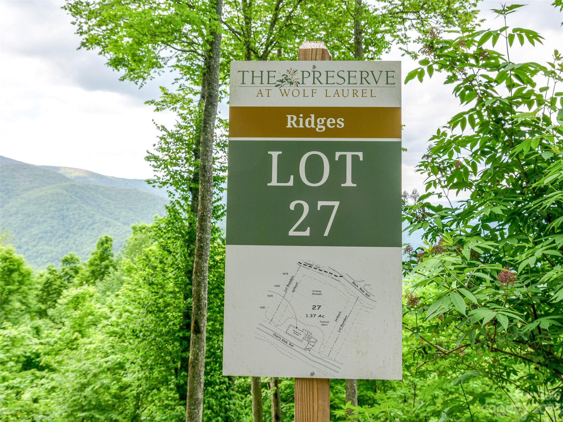 Lot 27 Black Bear Run - Photo 2