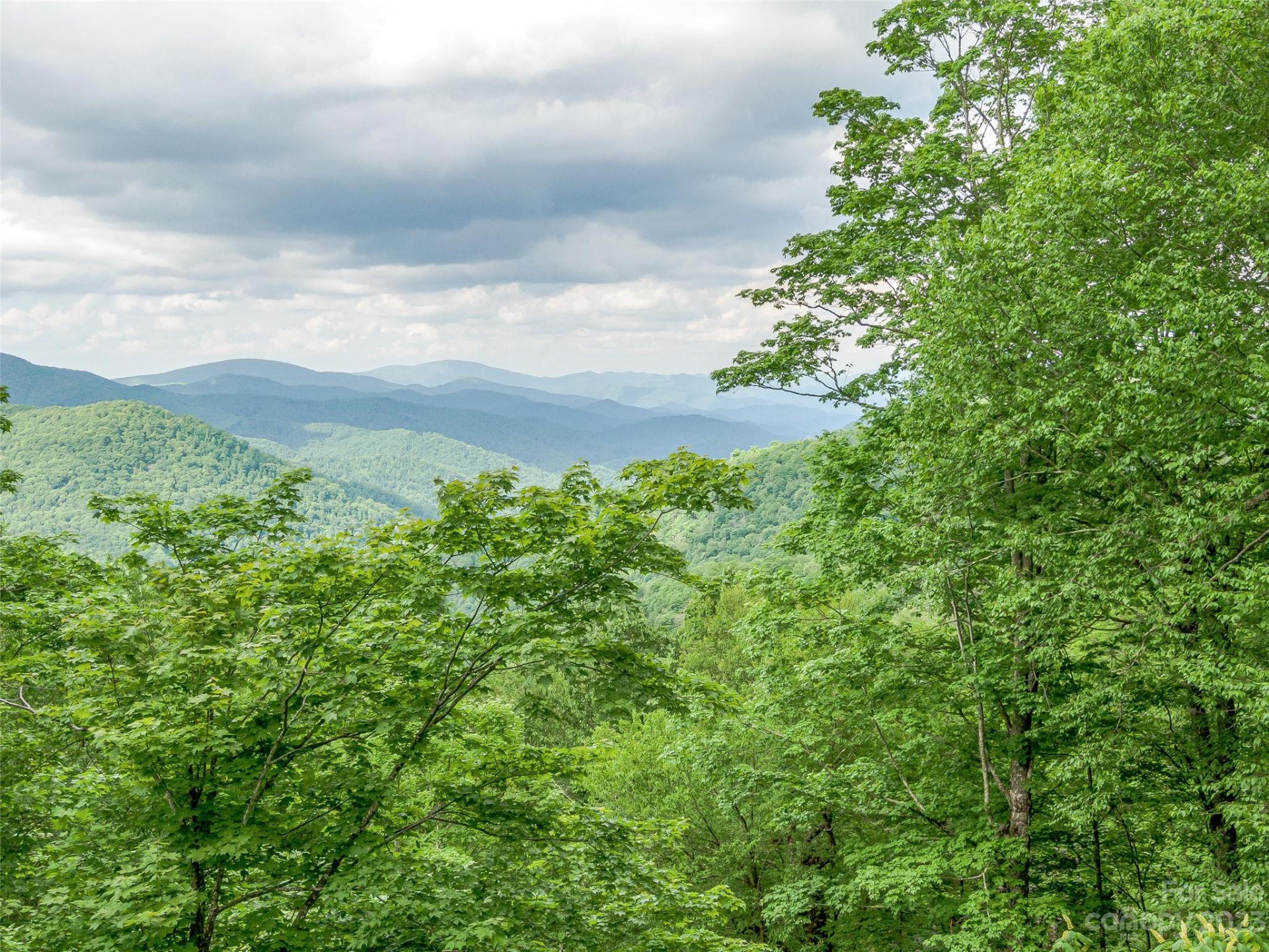 Lot 27 Black Bear Run - Photo 13