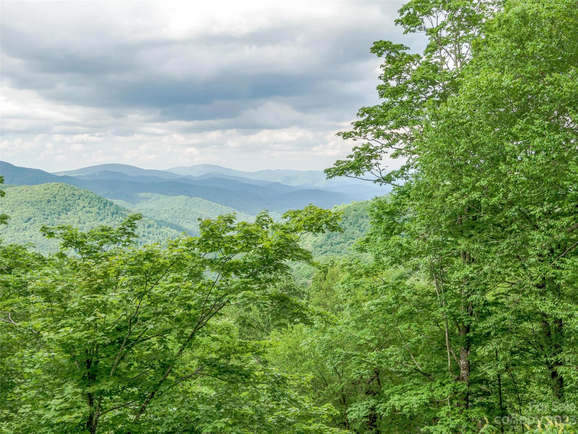 Lot 27 Black Bear Run - Photo 13