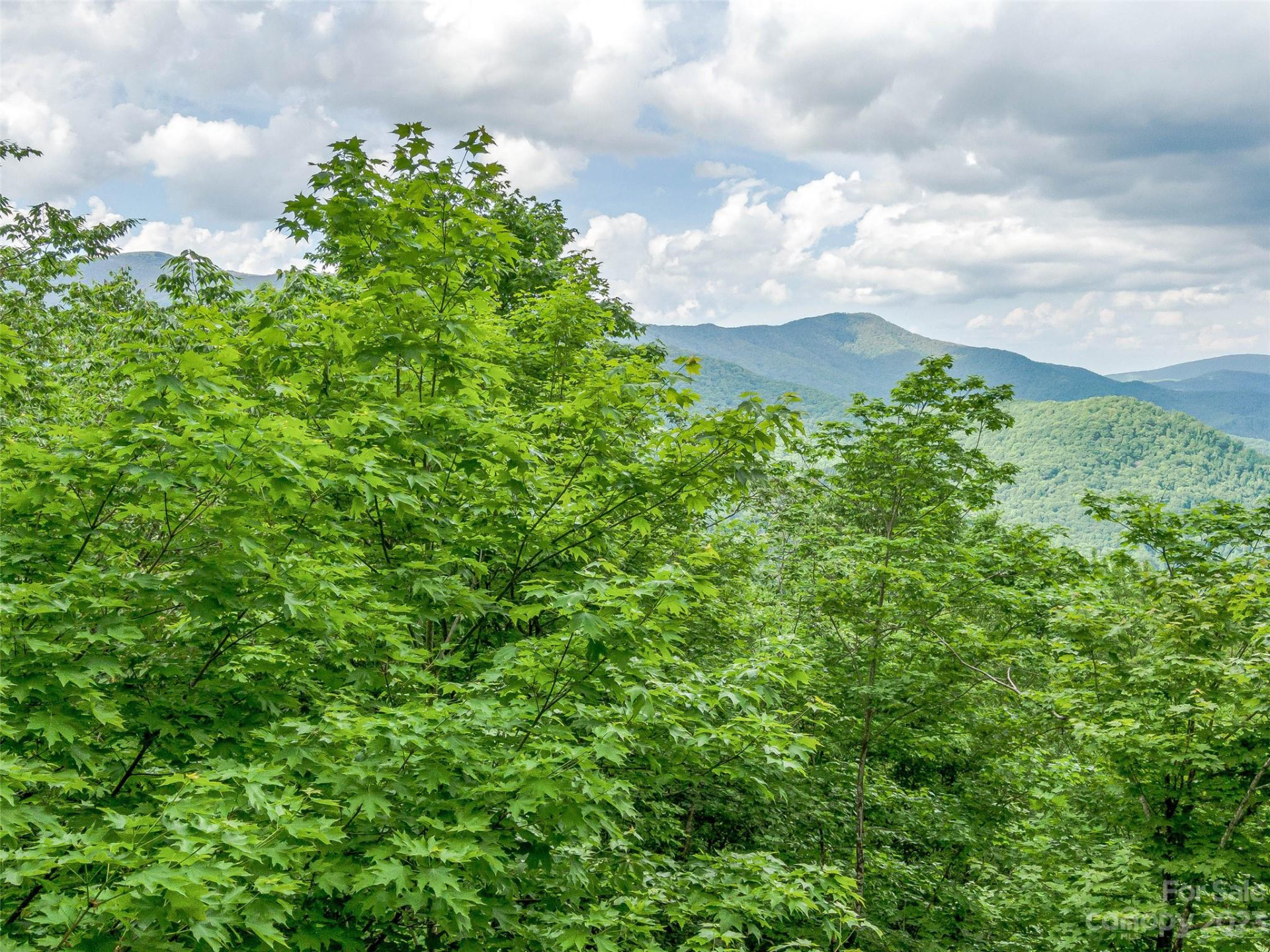 Lot 27 Black Bear Run - Photo 14