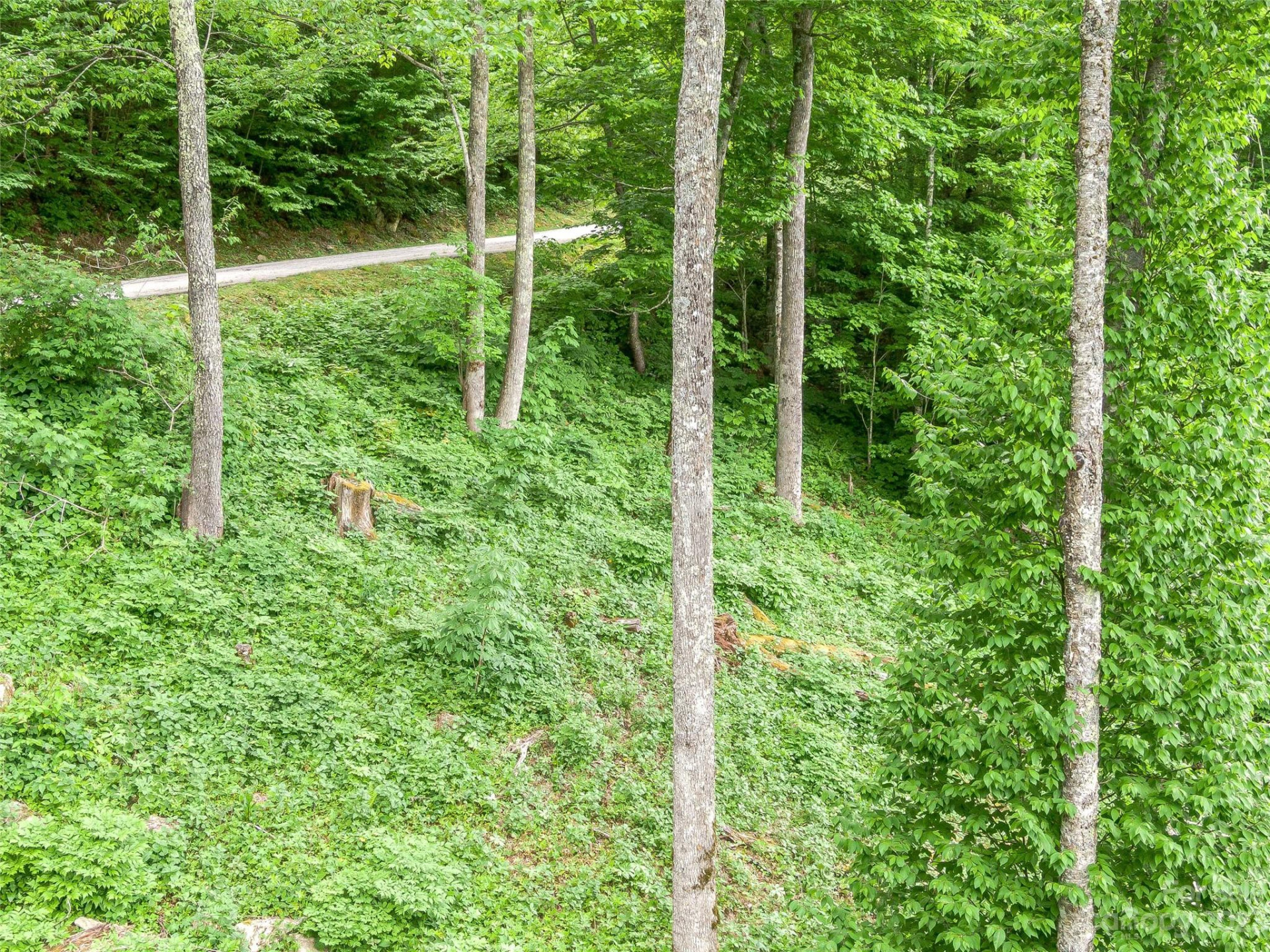 Lot 27 Black Bear Run - Photo 15