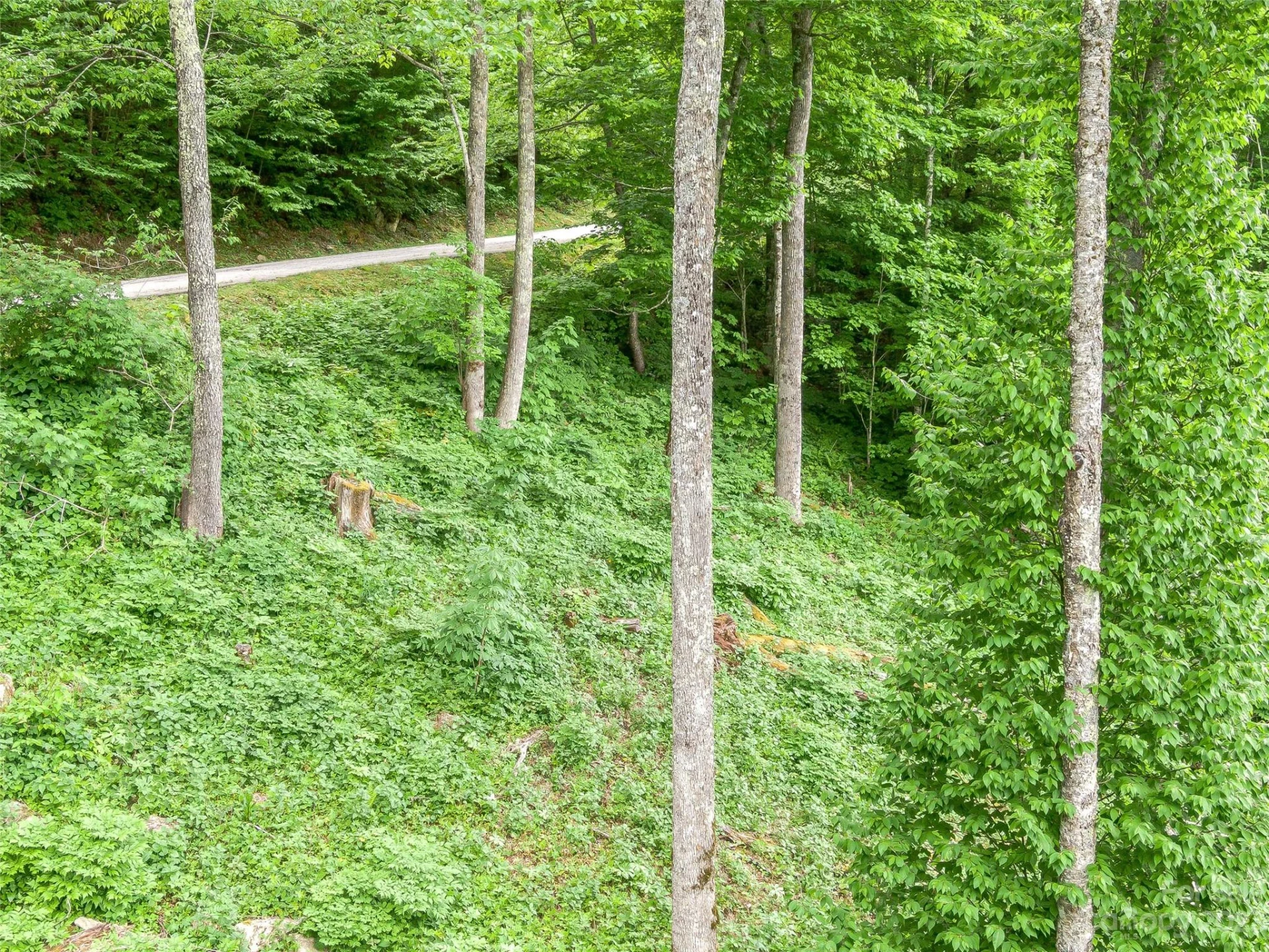 Lot 27 Black Bear Run - Photo 15